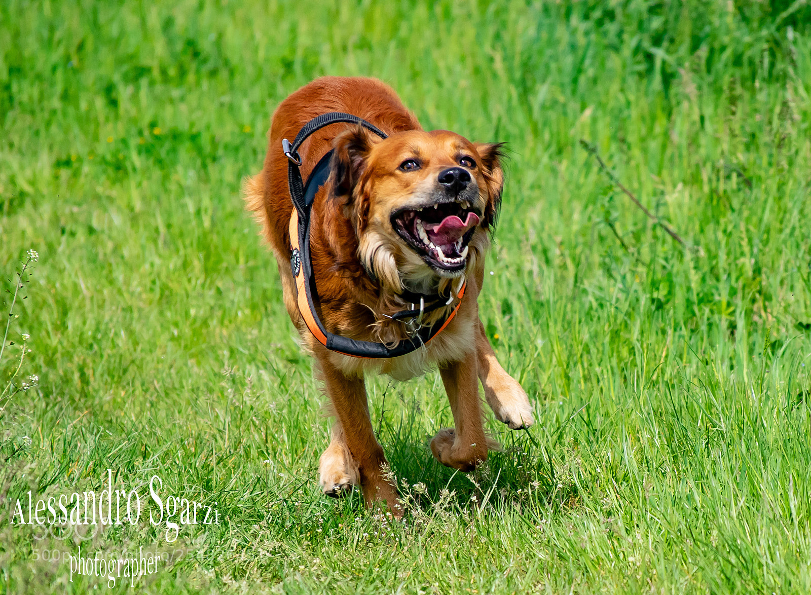 Nikon D5300 sample photo. Free photography