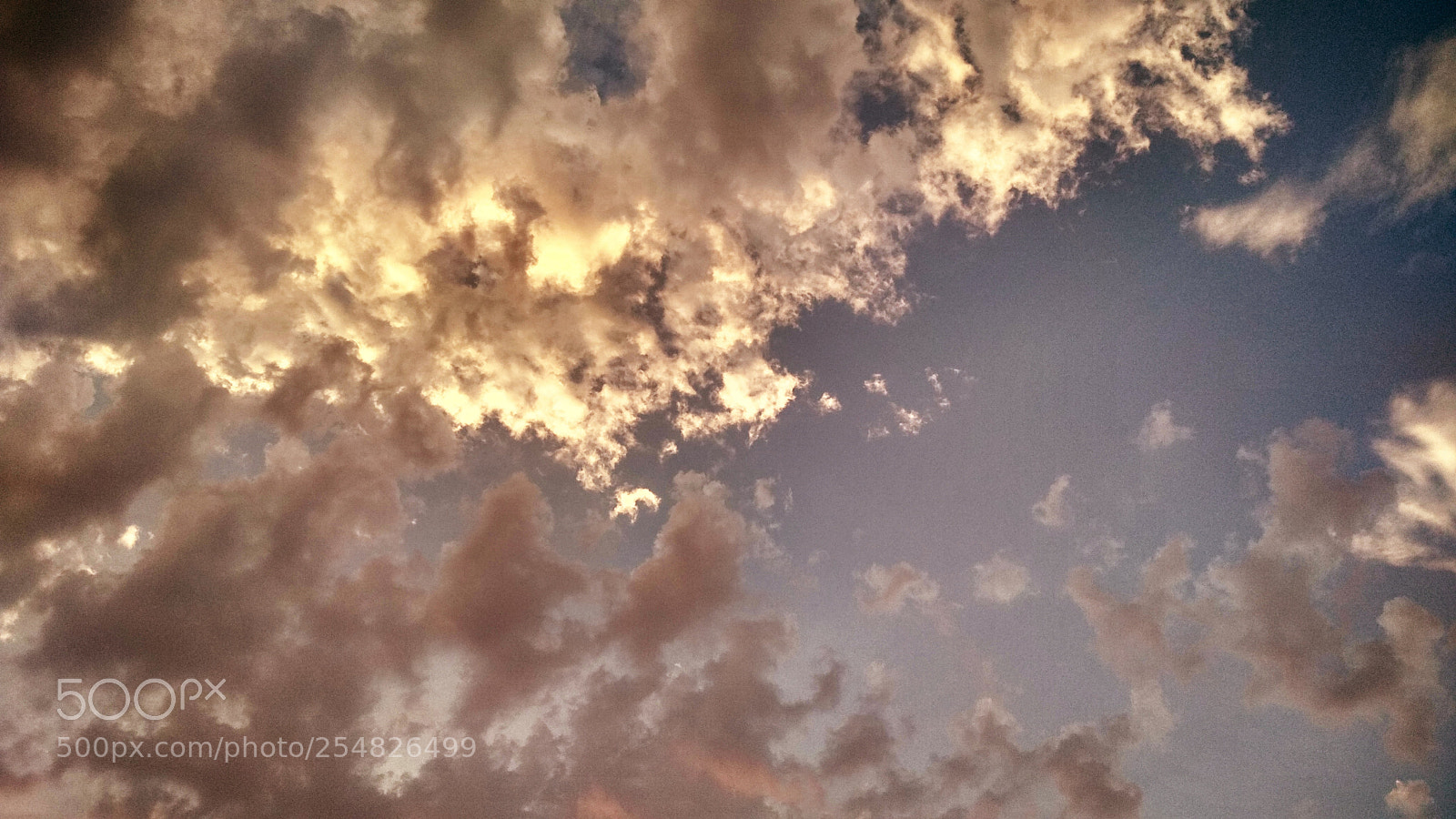 Xiaomi Redmi 4 Pro sample photo. Opposite cloud buds photography