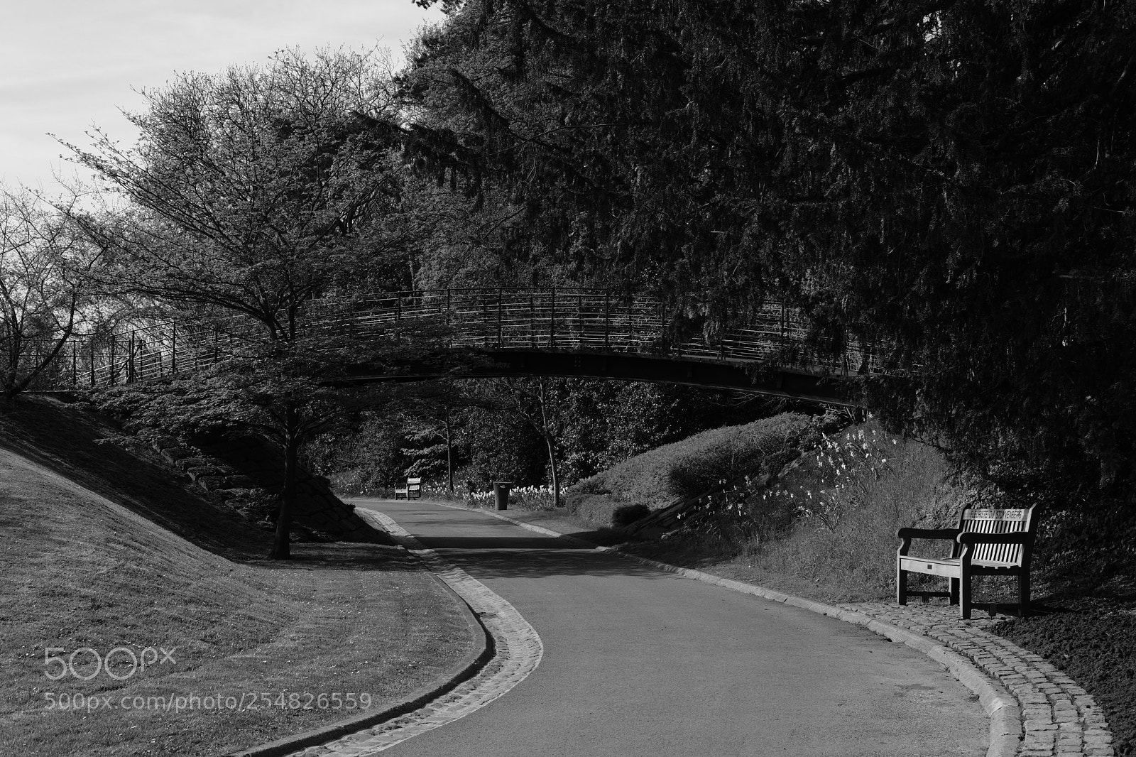 Fujifilm X-T20 sample photo. Fleuriste de stuyvenberg photography