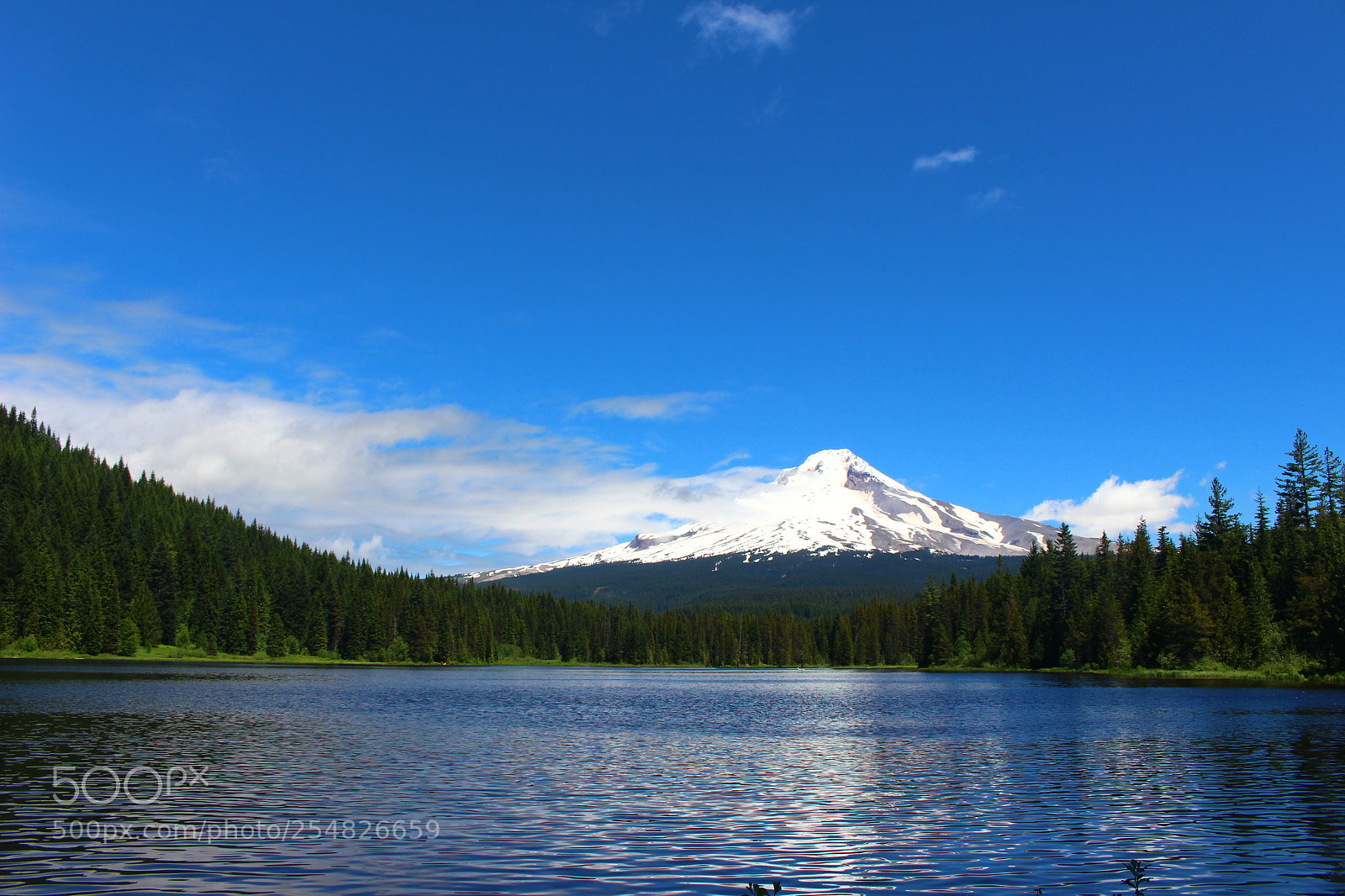 Canon EOS 100D (EOS Rebel SL1 / EOS Kiss X7) sample photo. Mt.hood photography