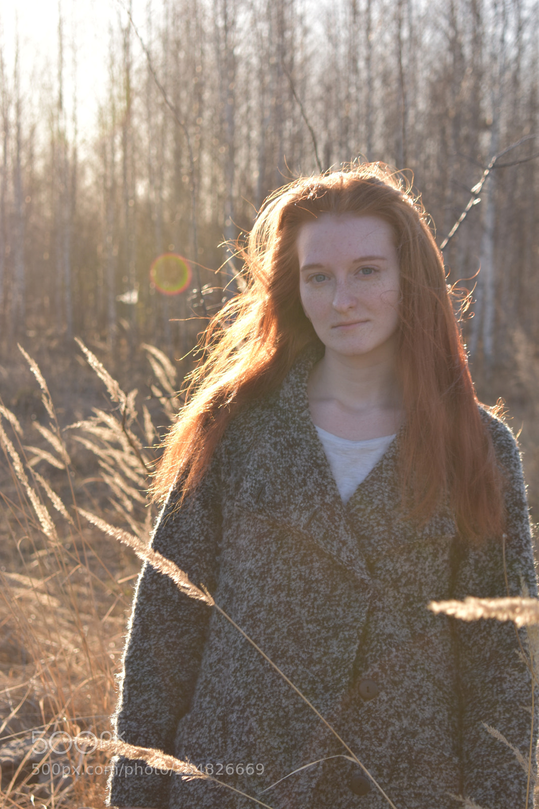Nikon D3400 sample photo. Untitled photography