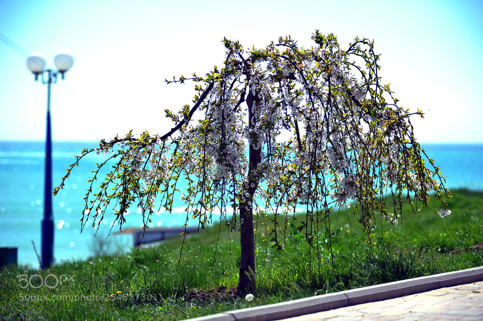 Nikon D700 sample photo. Sea landscape photography
