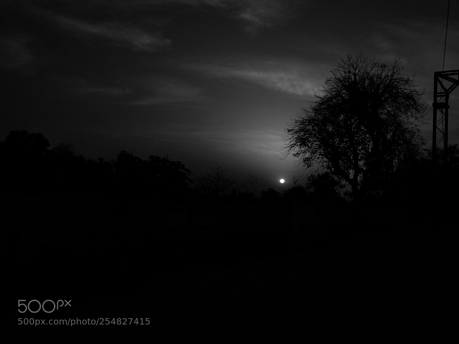 Xiaomi Redmi 3S sample photo. Night vision photography