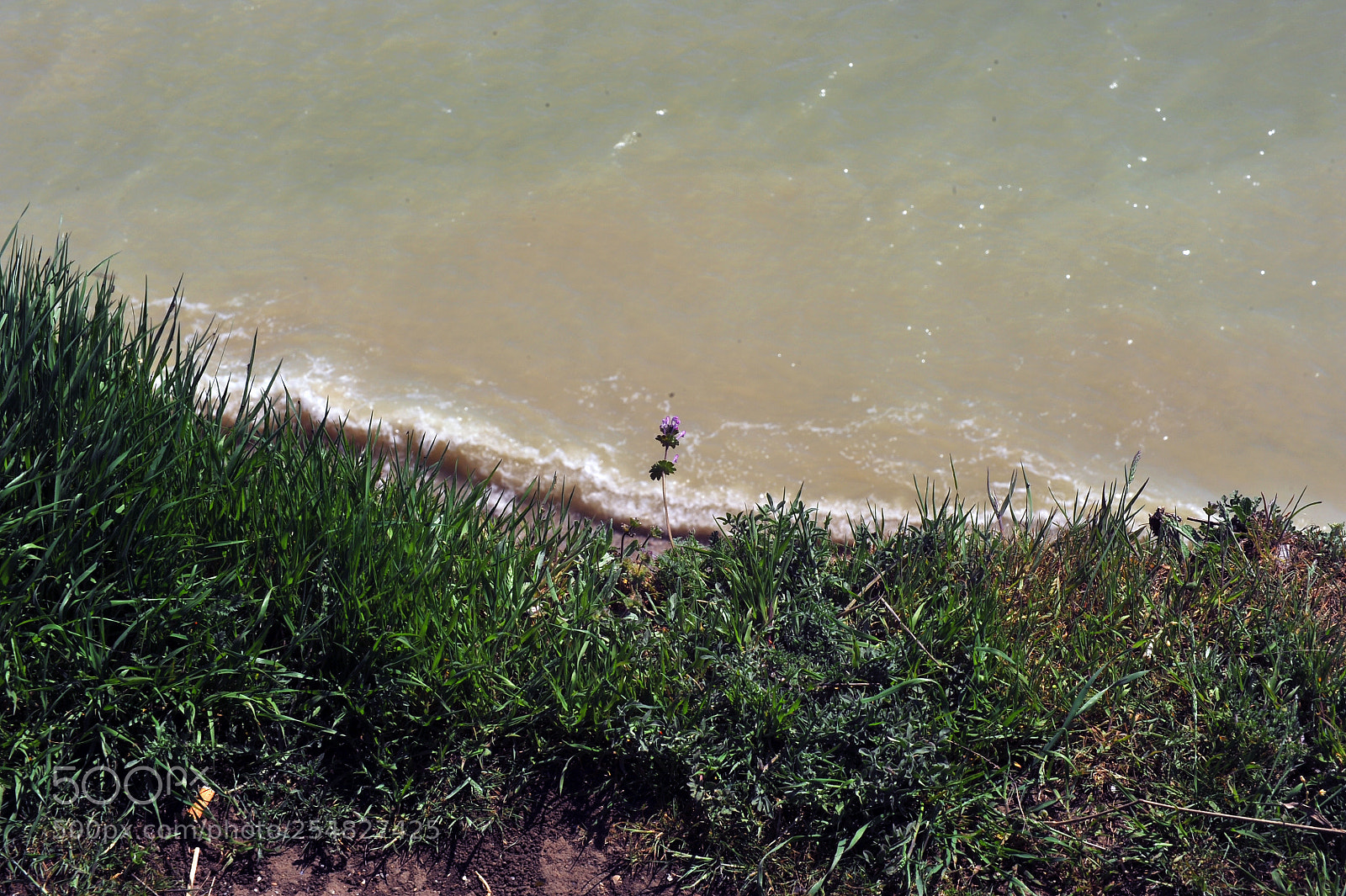 Nikon D700 sample photo. S photography