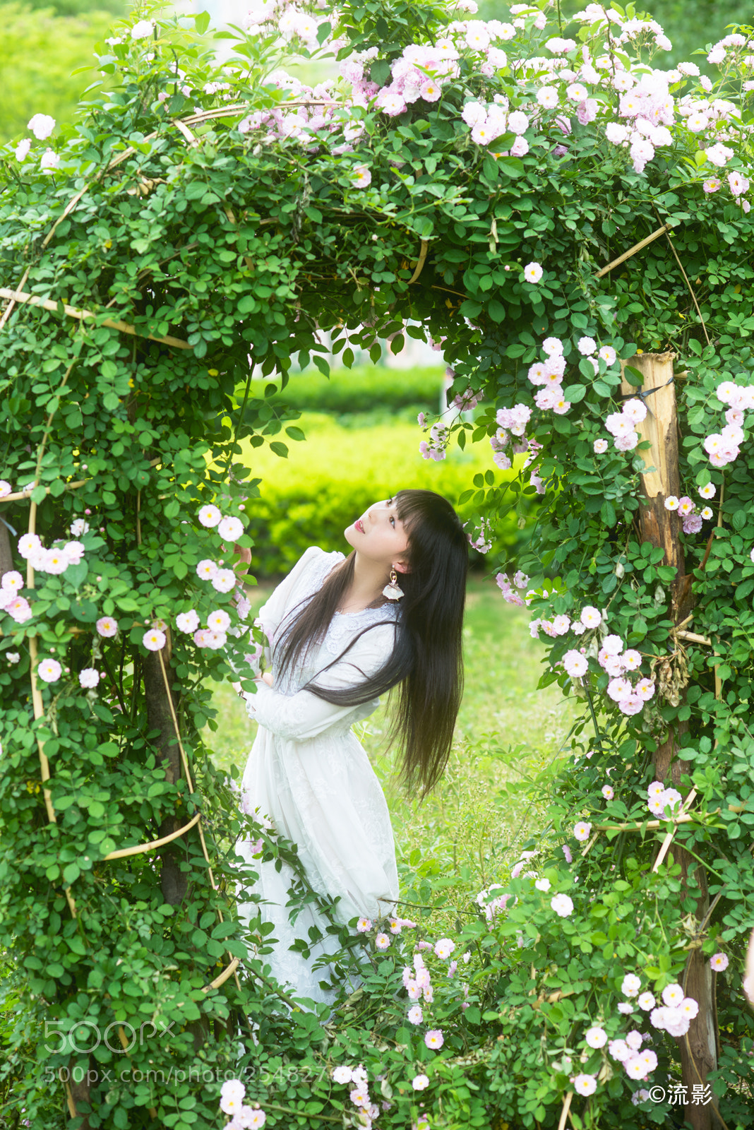 Nikon D810 sample photo. Dsc photography