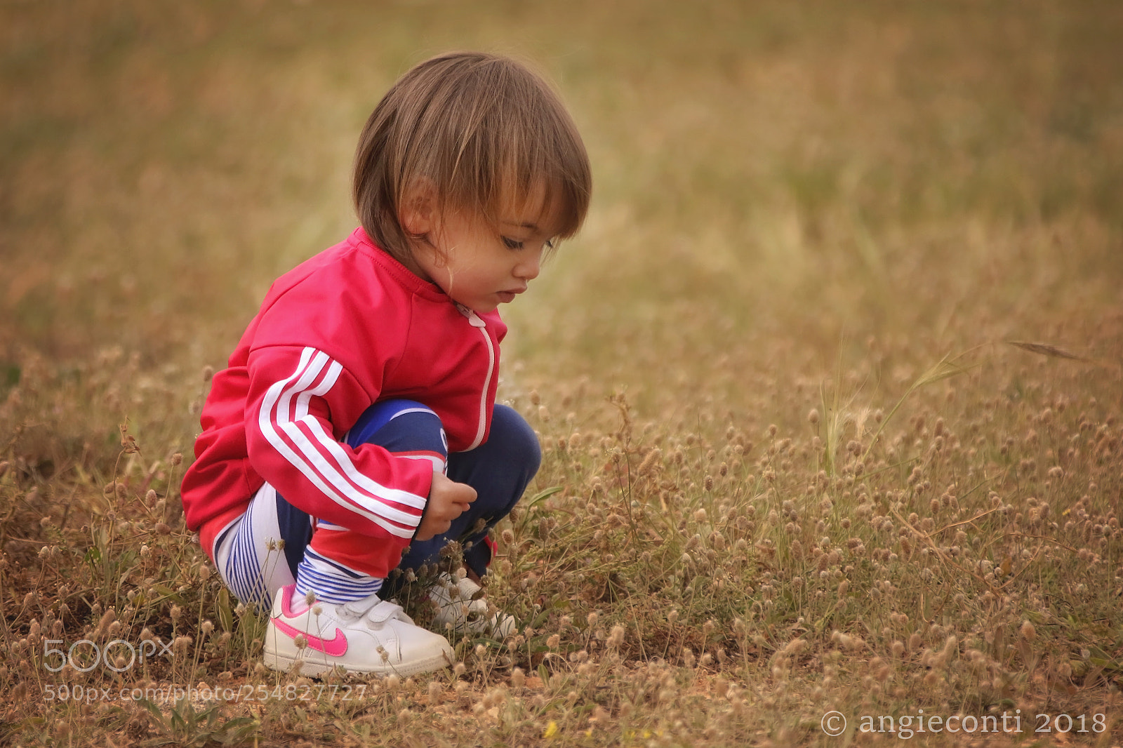 Canon EOS 7D Mark II sample photo. Curious photography