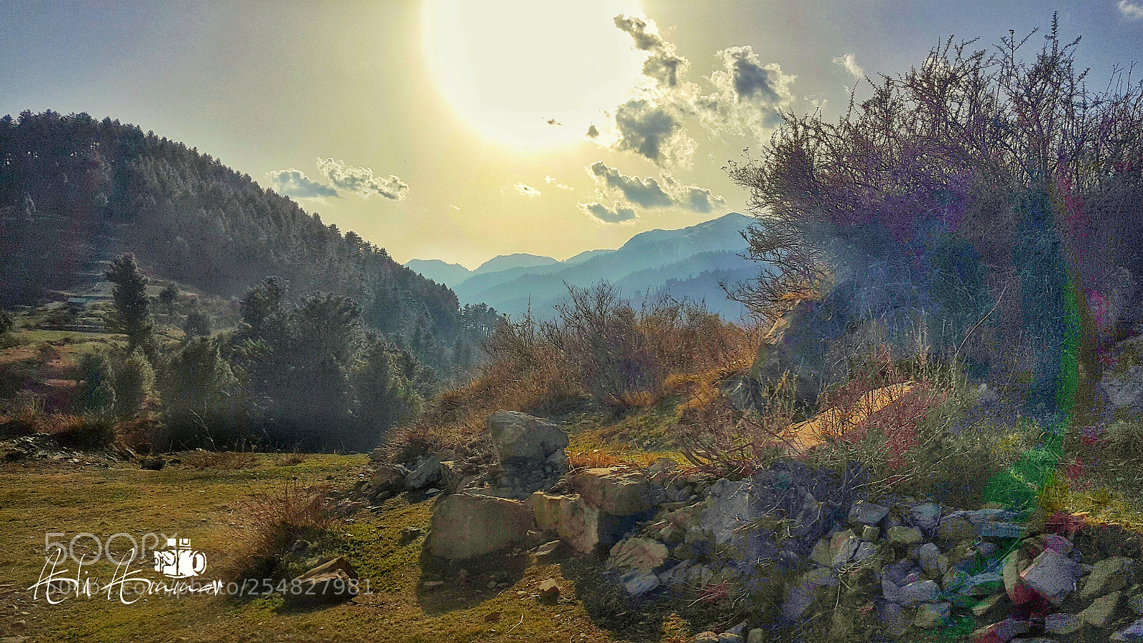 Samsung Galaxy Note5 sample photo. Untitled photography