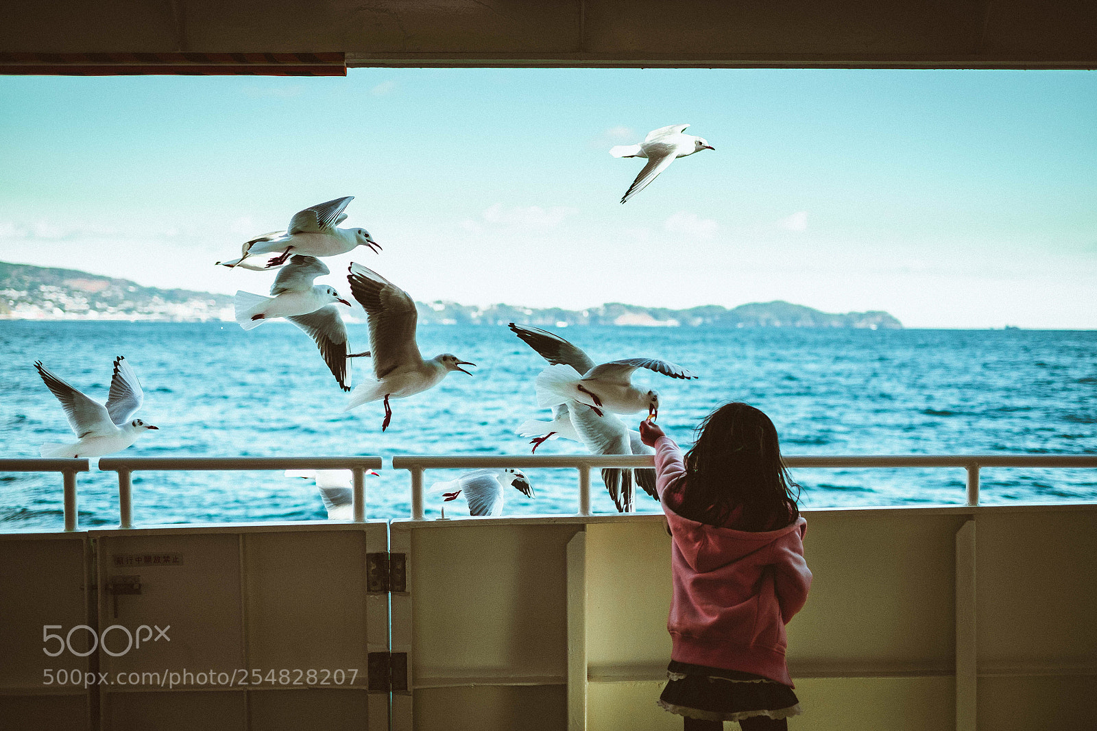 Fujifilm X-T1 sample photo. Untitled photography
