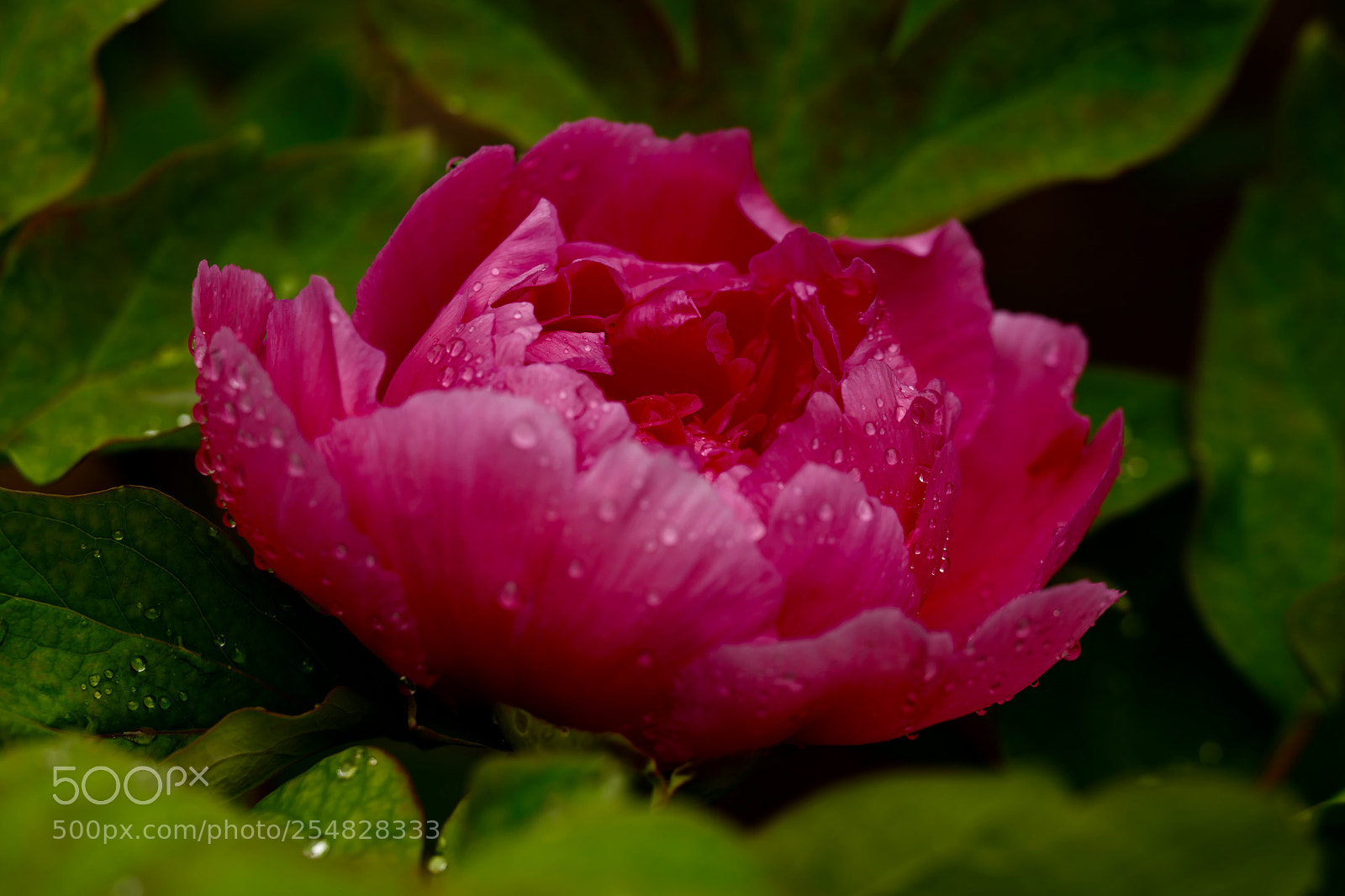 Leica SL (Typ 601) sample photo. Untitled photography