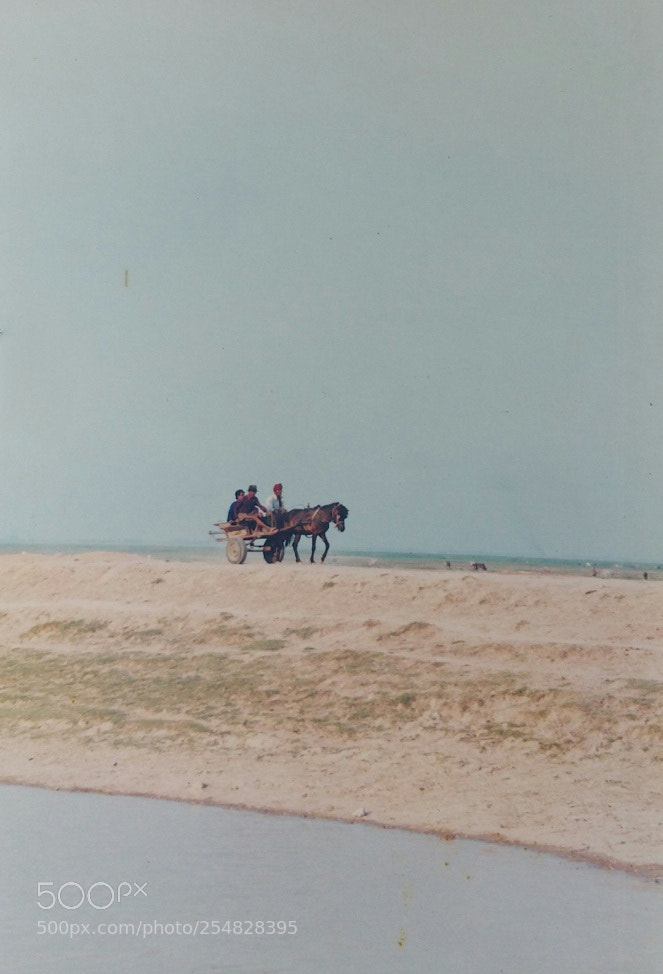Samsung Galaxy Note4 sample photo. Lonely horse cart photography