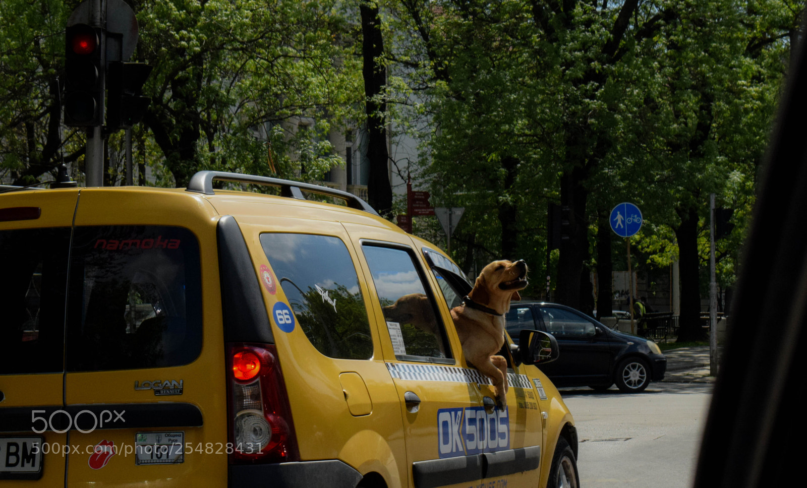 Nikon D3300 sample photo. Yay photography