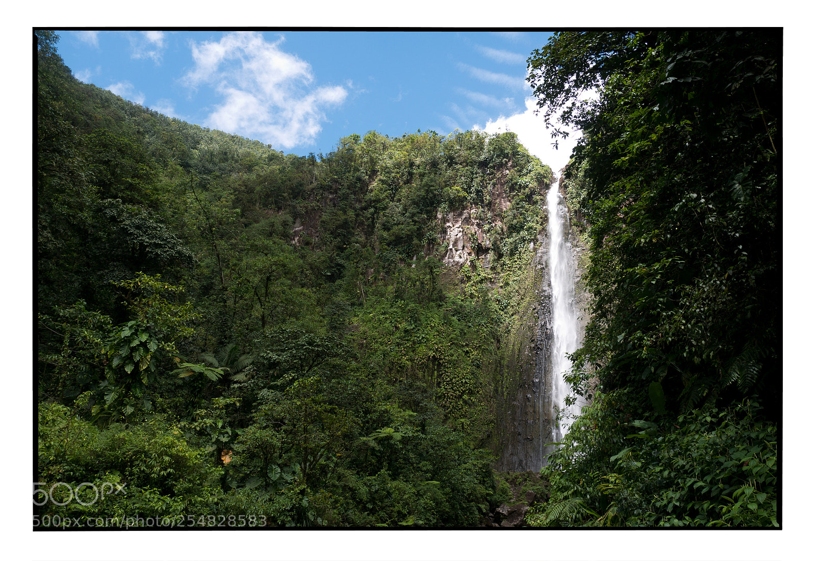 Panasonic Lumix DMC-GX85 (Lumix DMC-GX80 / Lumix DMC-GX7 Mark II) sample photo. Guadeloupe photography
