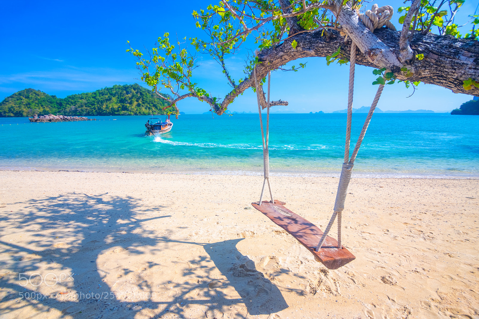 Canon EOS 6D Mark II sample photo. Swing under the tree photography