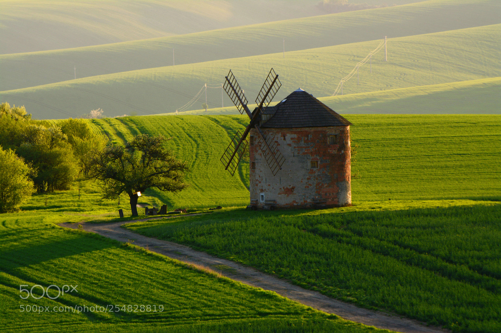Nikon D7100 sample photo. Windmill photography