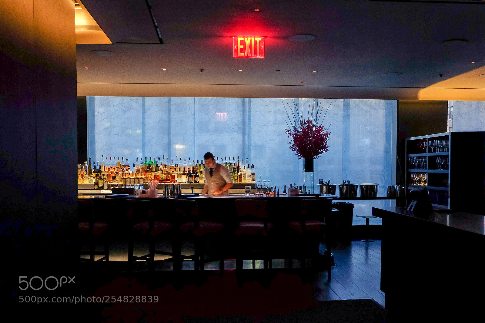 Fujifilm X-E2 sample photo. Rooftop bar in nyc photography