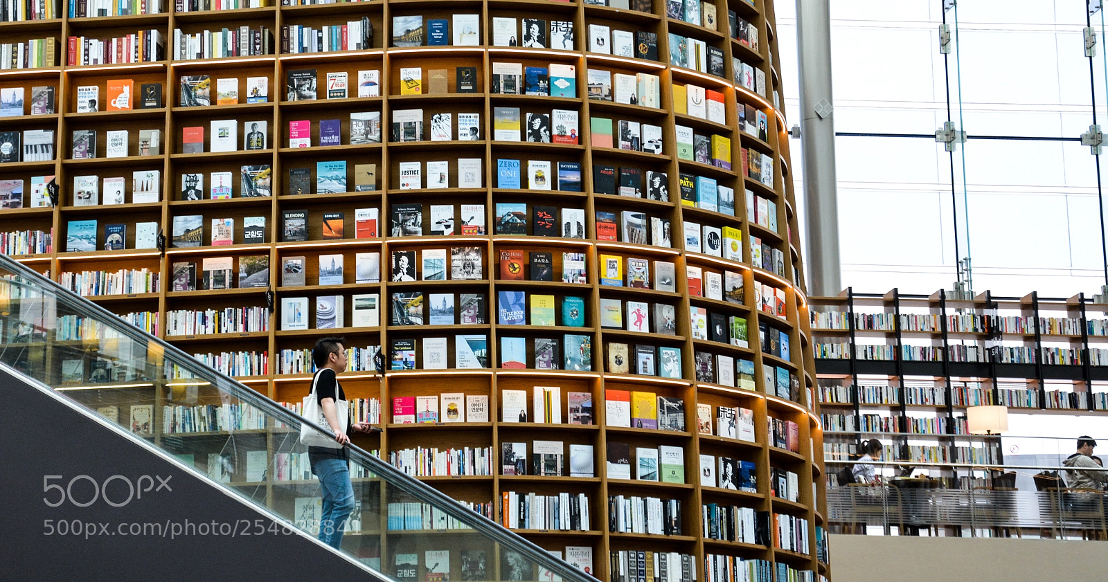 Nikon D5200 sample photo. Books! photography
