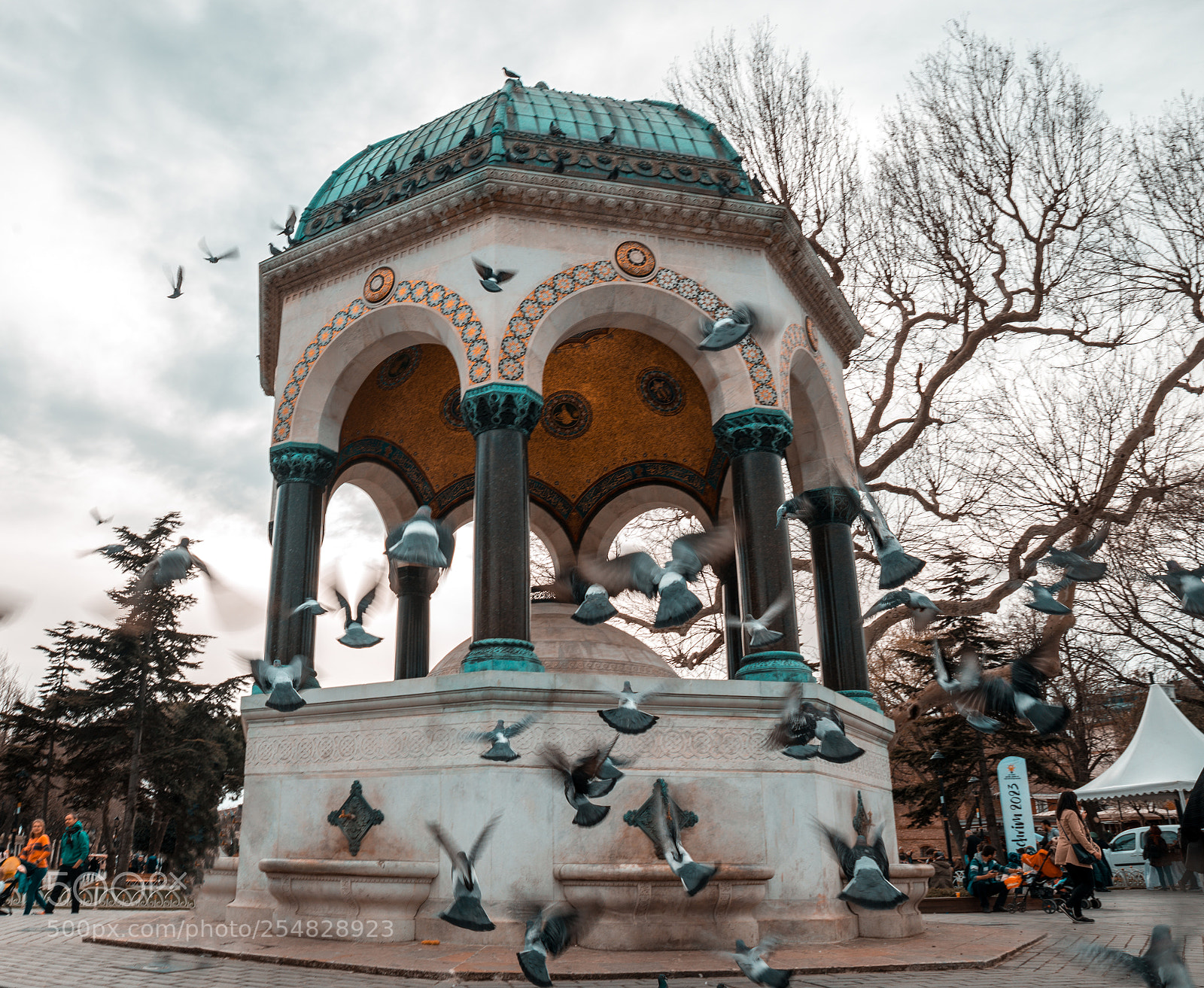 Nikon D610 sample photo. Kuşların dansı.. photography