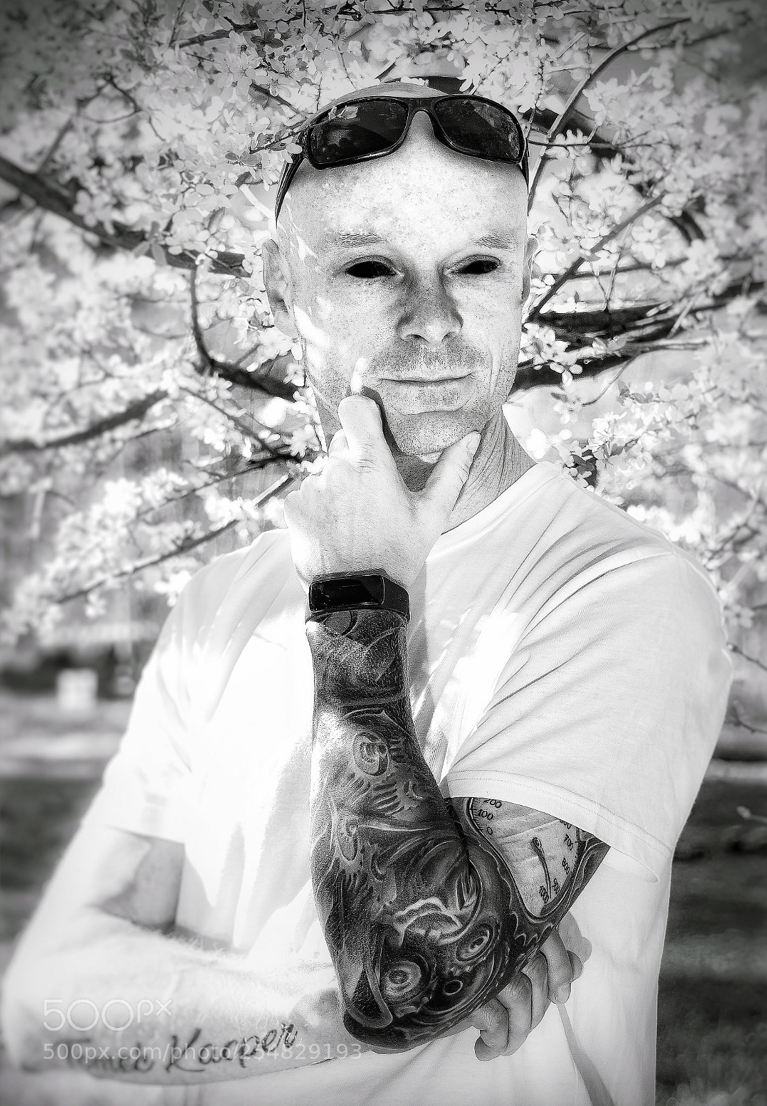 Canon EOS 760D (EOS Rebel T6s / EOS 8000D) sample photo. Alien thom photography