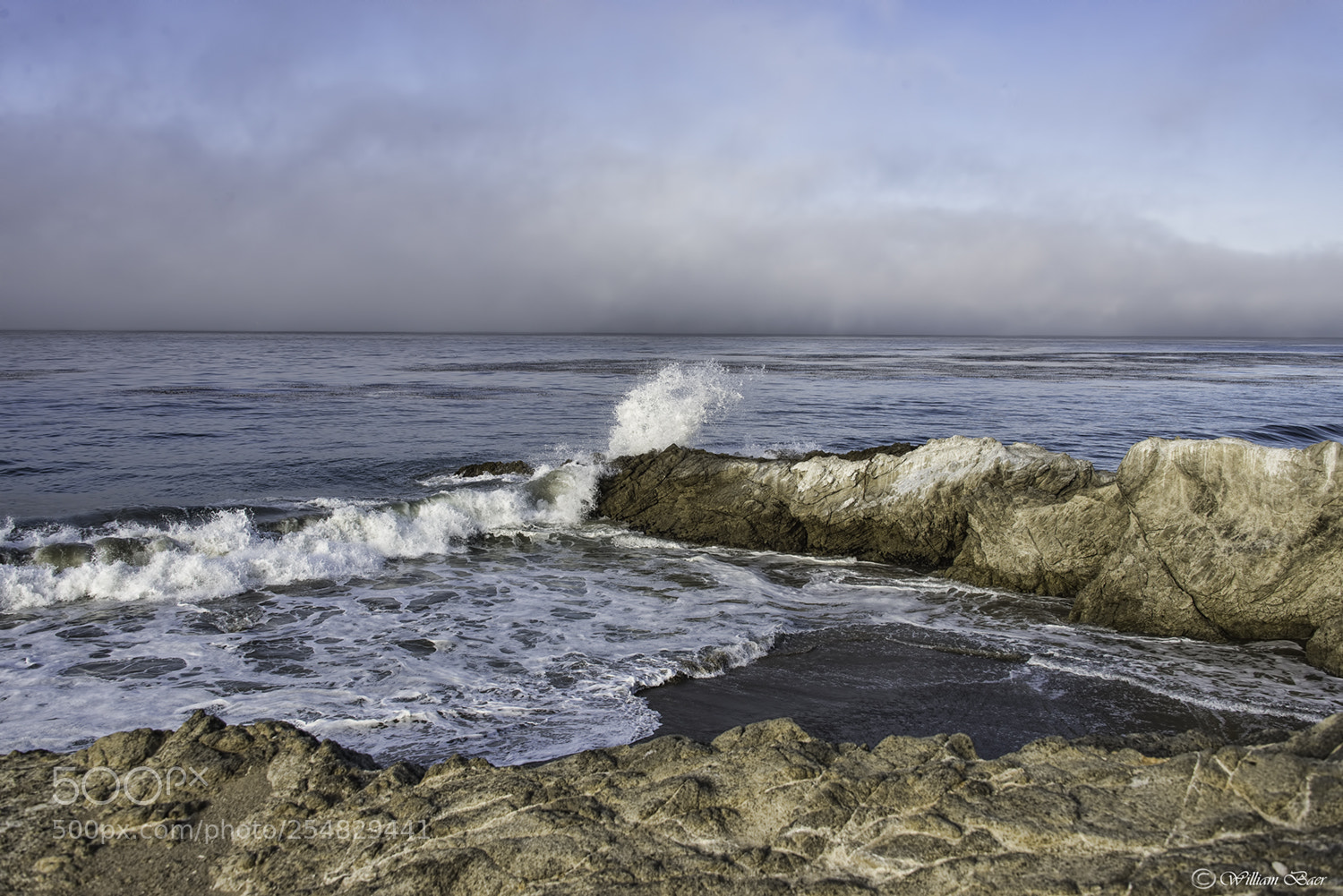 Nikon D600 sample photo. Leo carrillo photography
