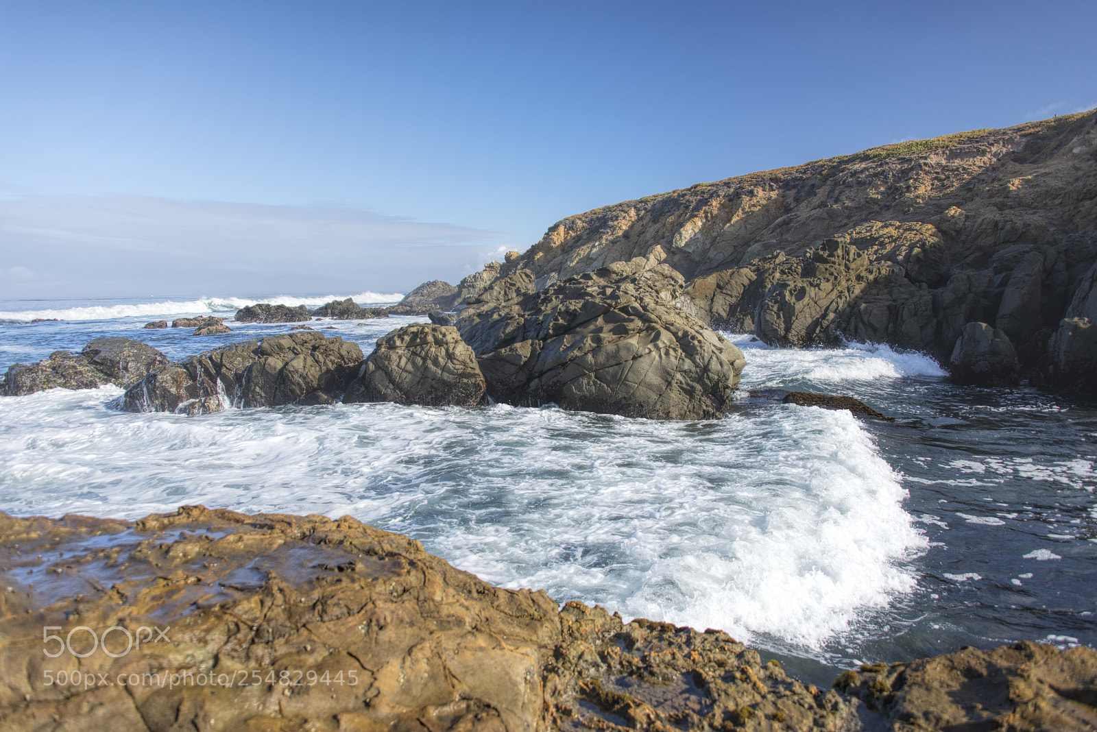 Nikon D610 sample photo. Central california photography