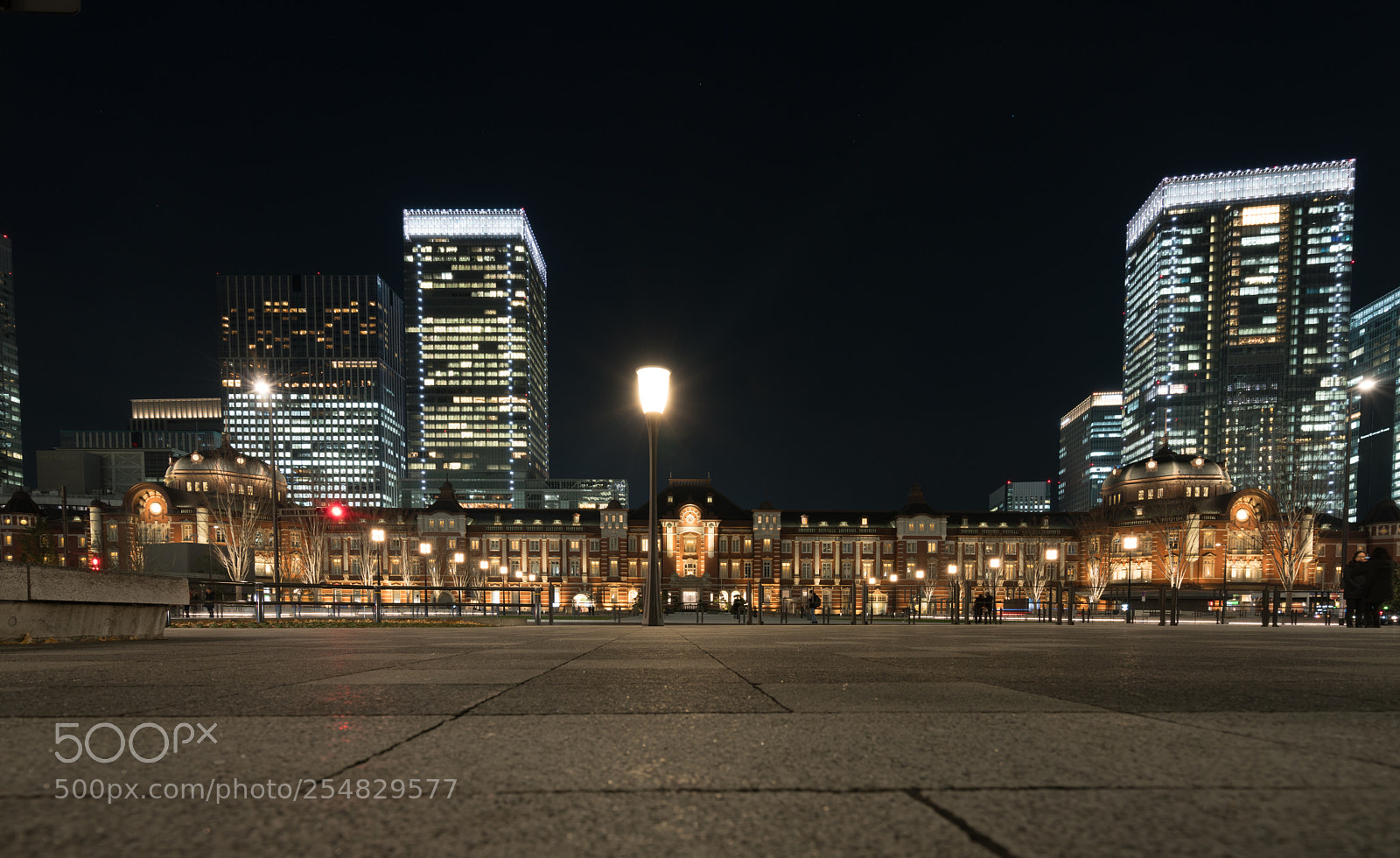 Sony a7R II sample photo. Tokyo station photography