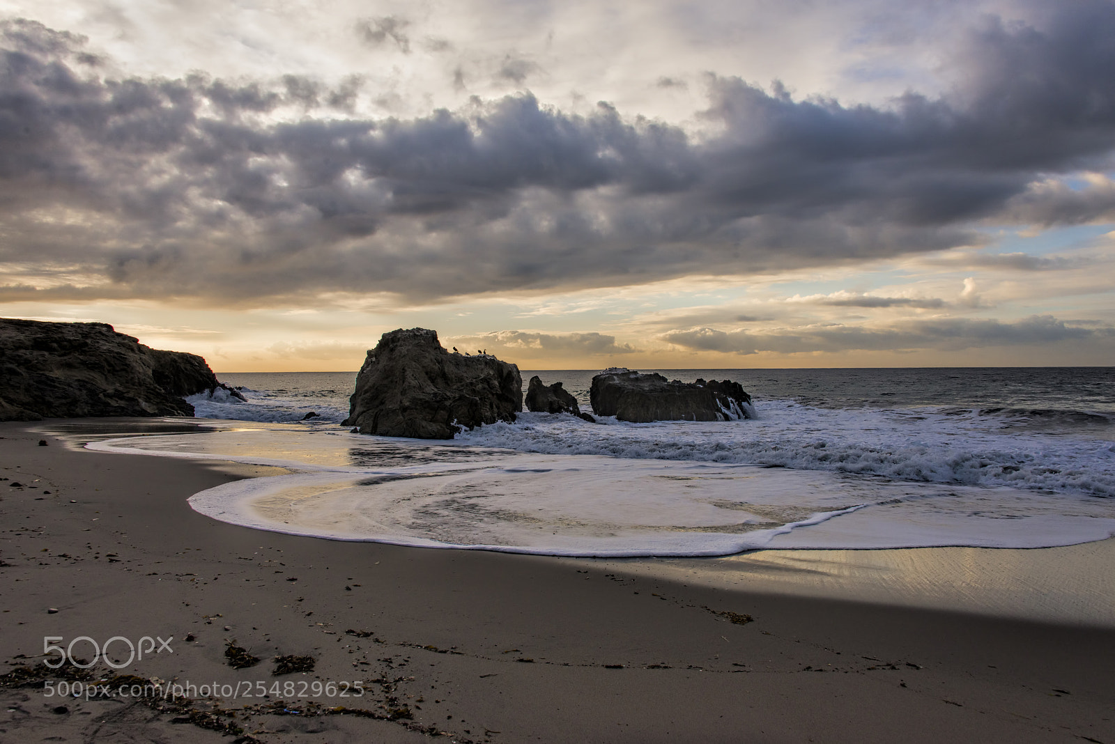 Nikon D610 sample photo. Leo carrillo morning photography