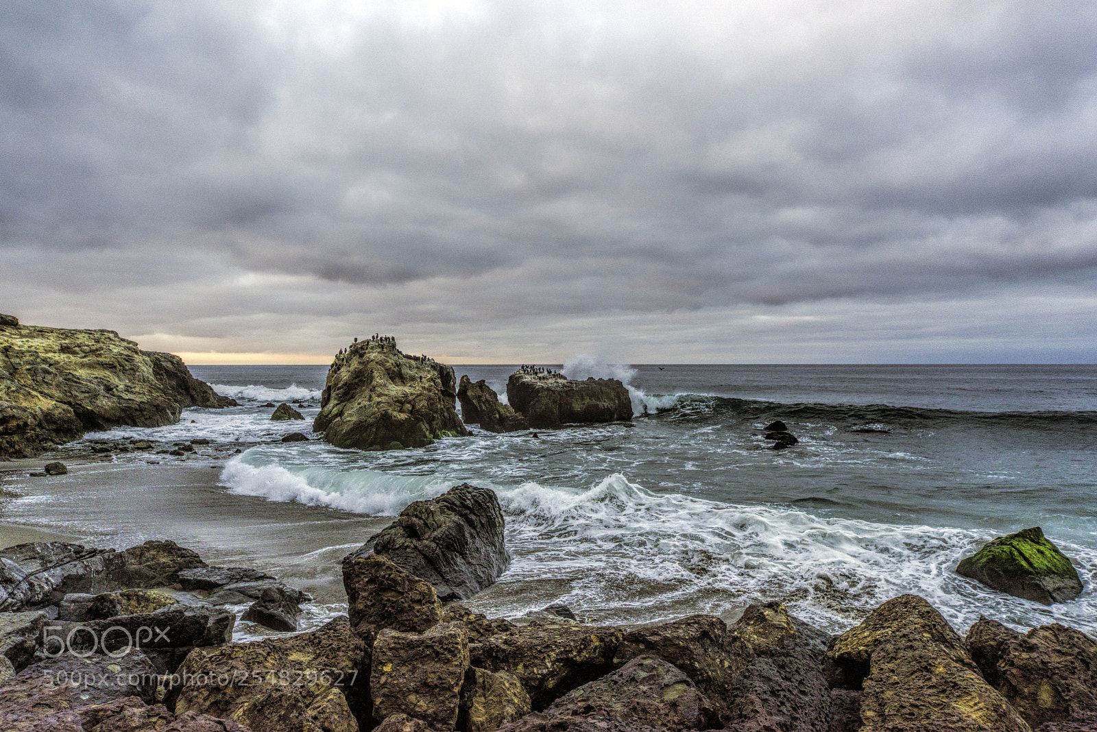 Nikon D600 sample photo. Leo carrillo rainy day photography