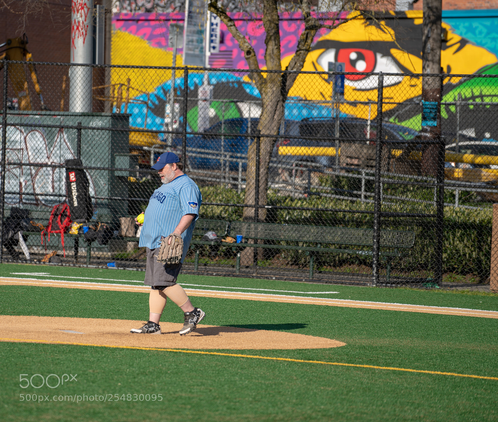 Sony a7R III sample photo. On the mound photography