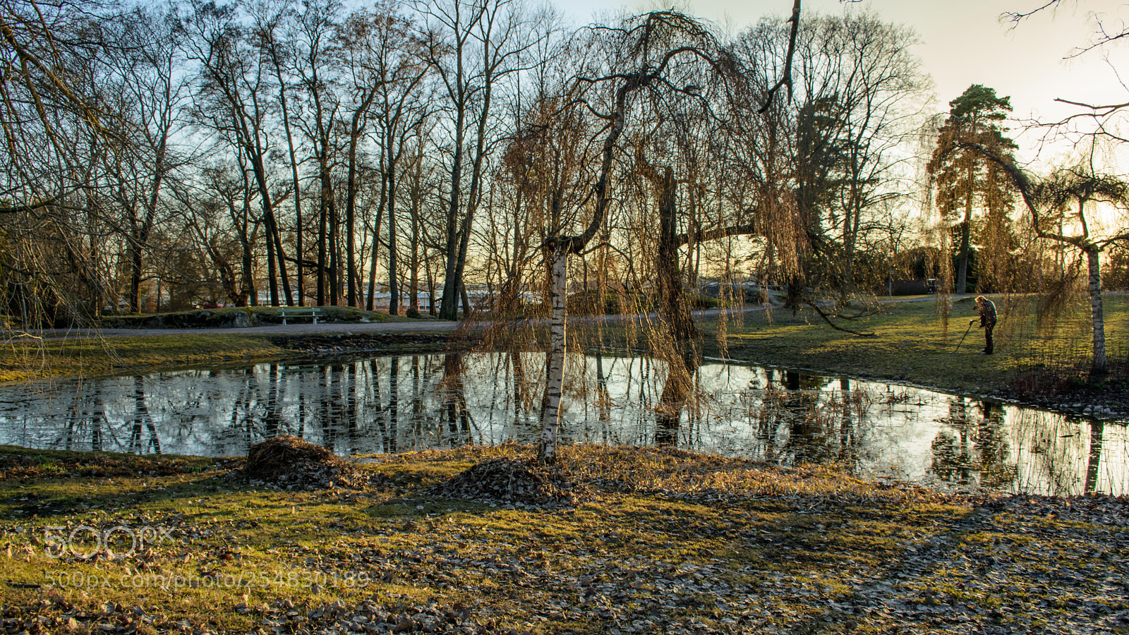 Nikon D3400 sample photo. Warm evening photography