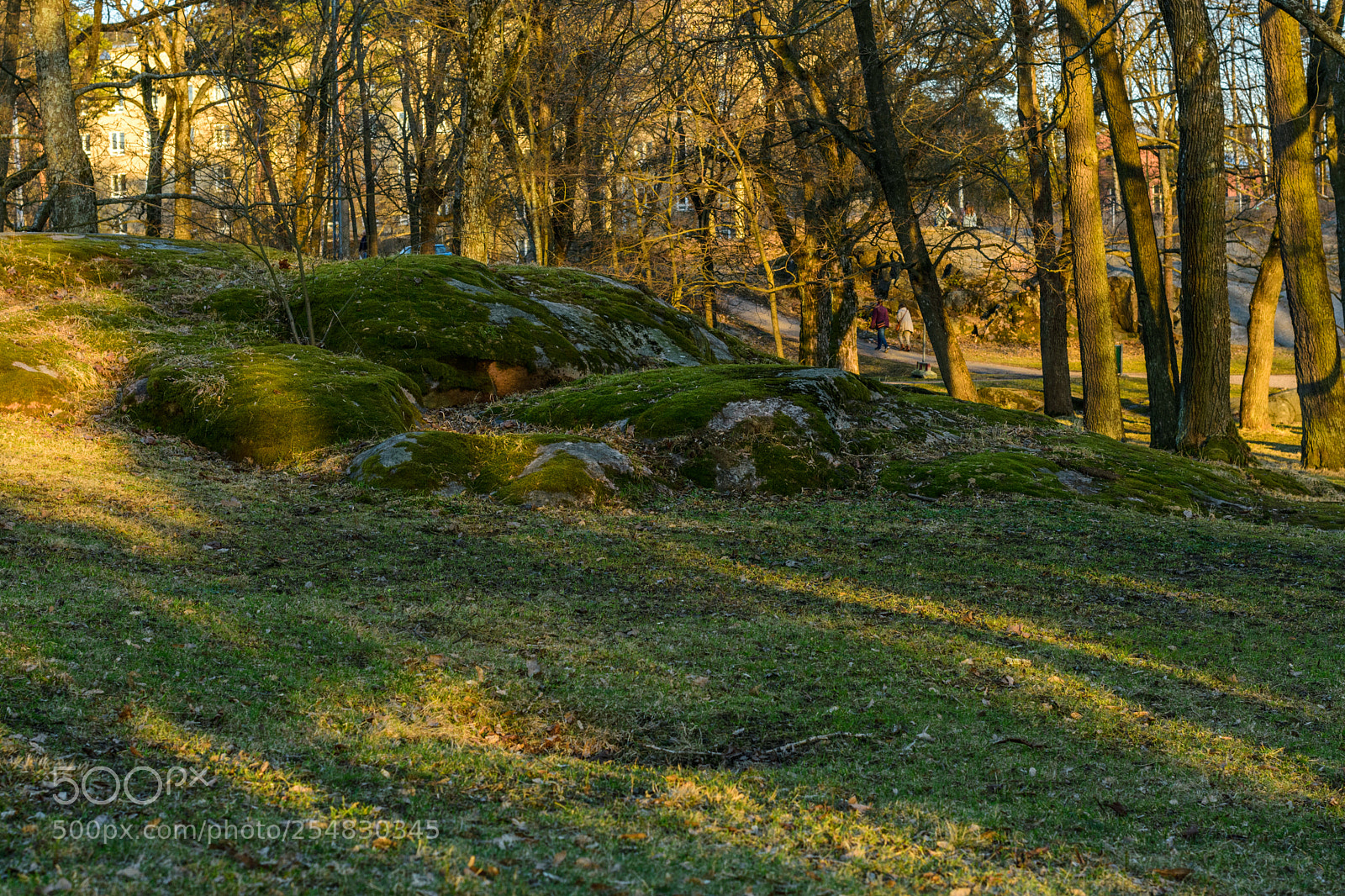 Nikon D3400 sample photo. Cliff photography