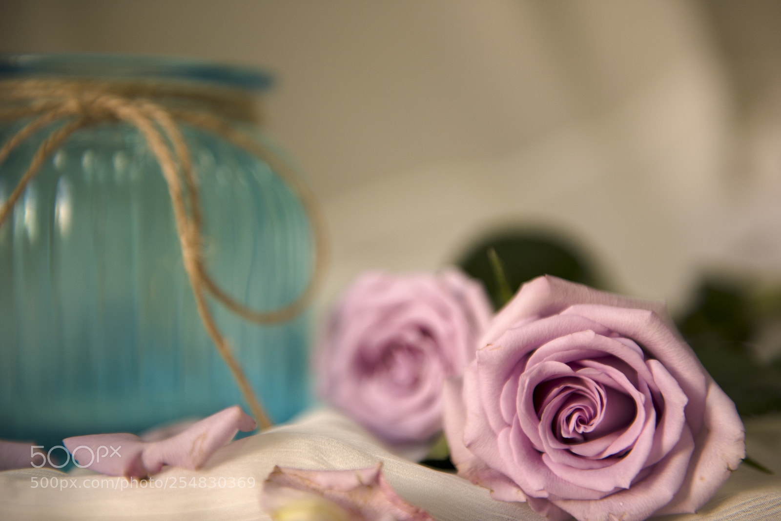 Nikon D810 sample photo. 午后的紫玫瑰 photography