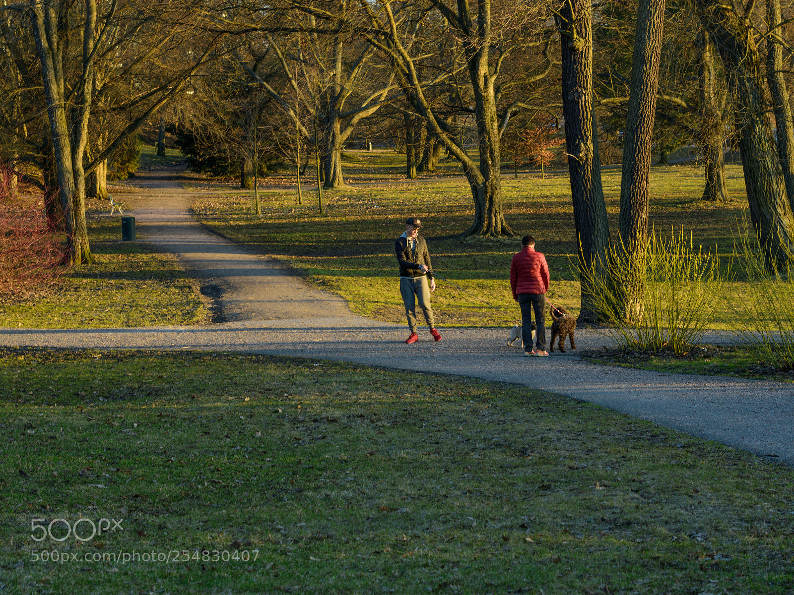 Nikon D3400 sample photo. Park walk photography