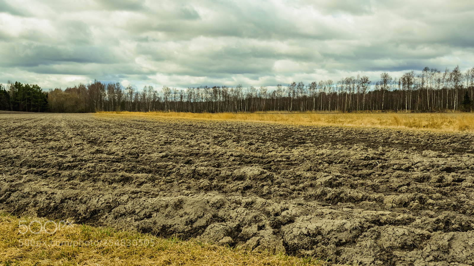 Nikon D3400 sample photo. Moody day photography