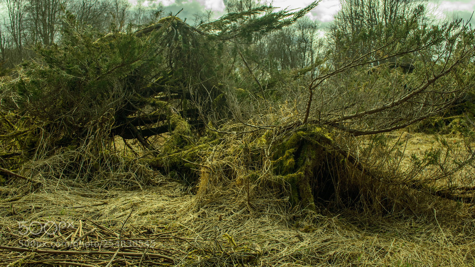 Nikon D3400 sample photo. Troll's hole photography