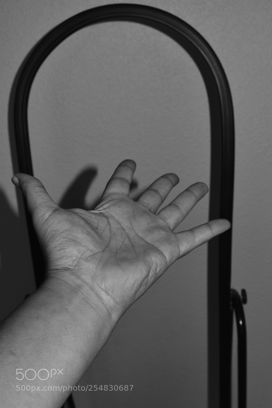 Nikon D5600 sample photo. I do not see photography