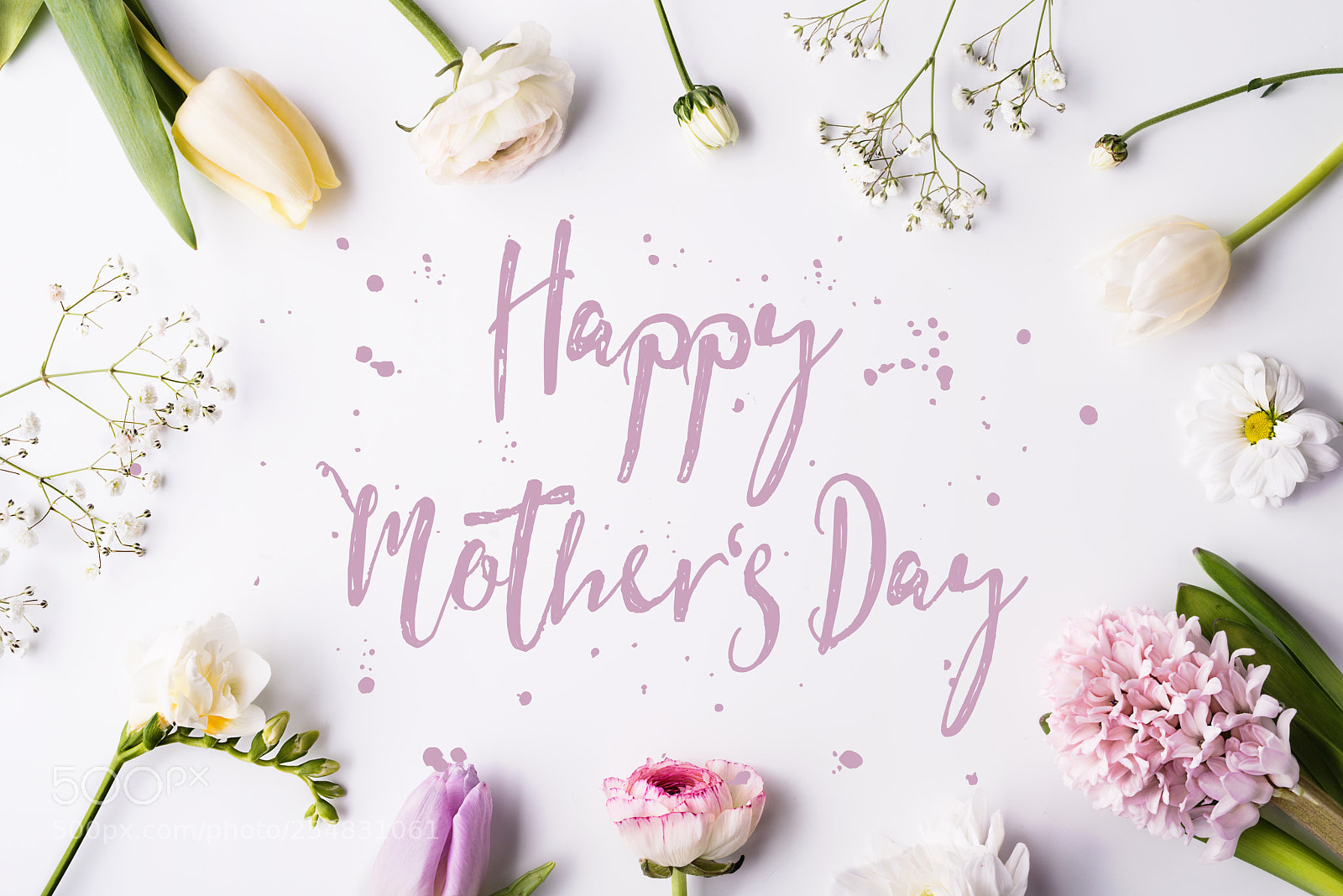 Nikon D800 sample photo. Happy mothers day composition photography