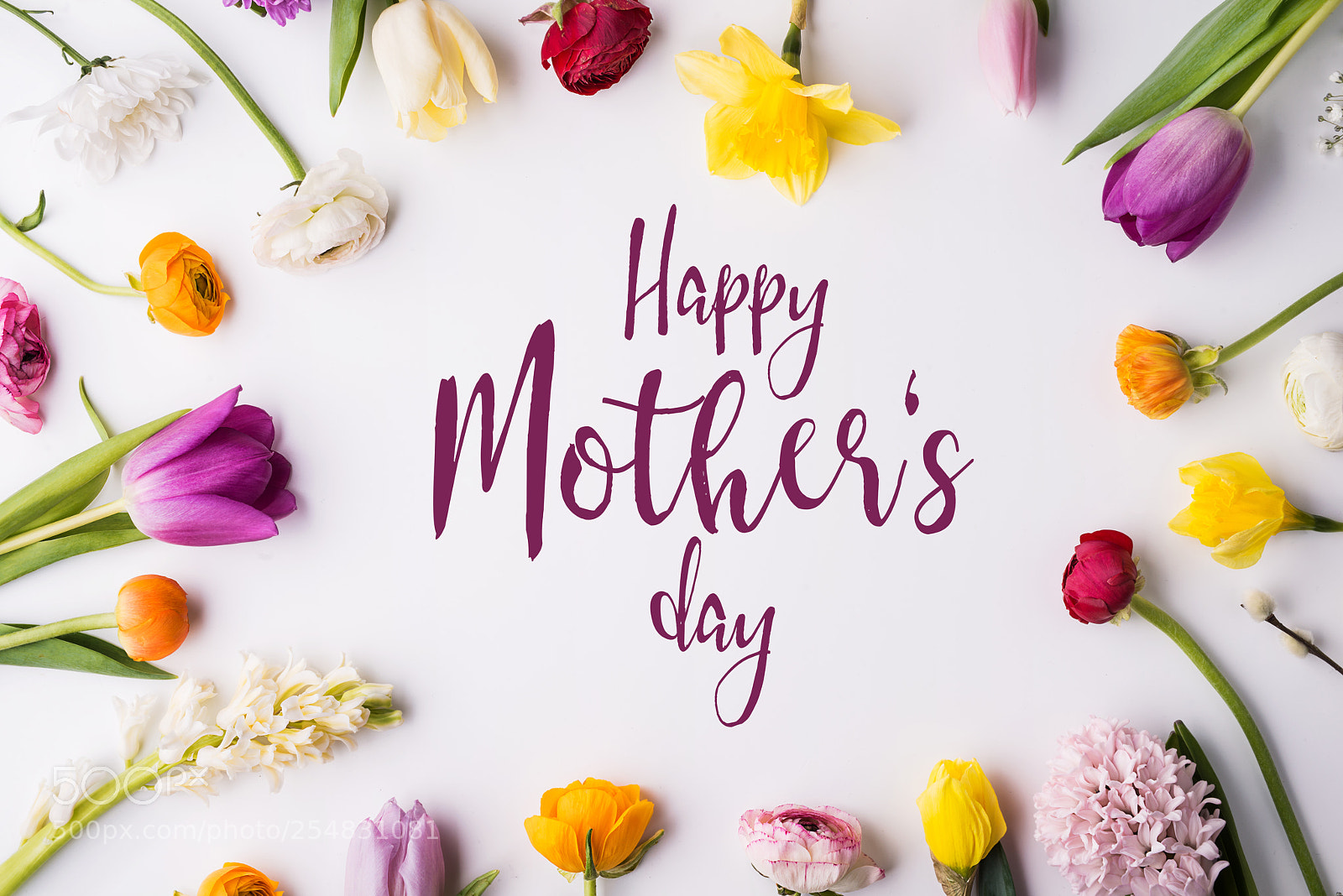 Nikon D800 sample photo. Happy mothers day composition photography