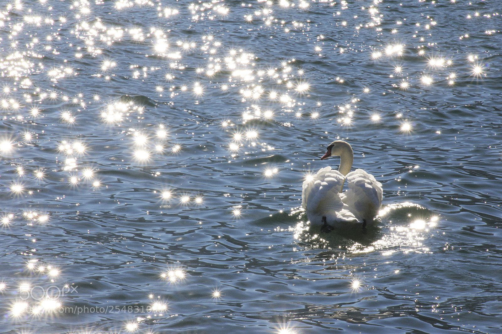 Canon EOS 60D sample photo. Sunny morning photography