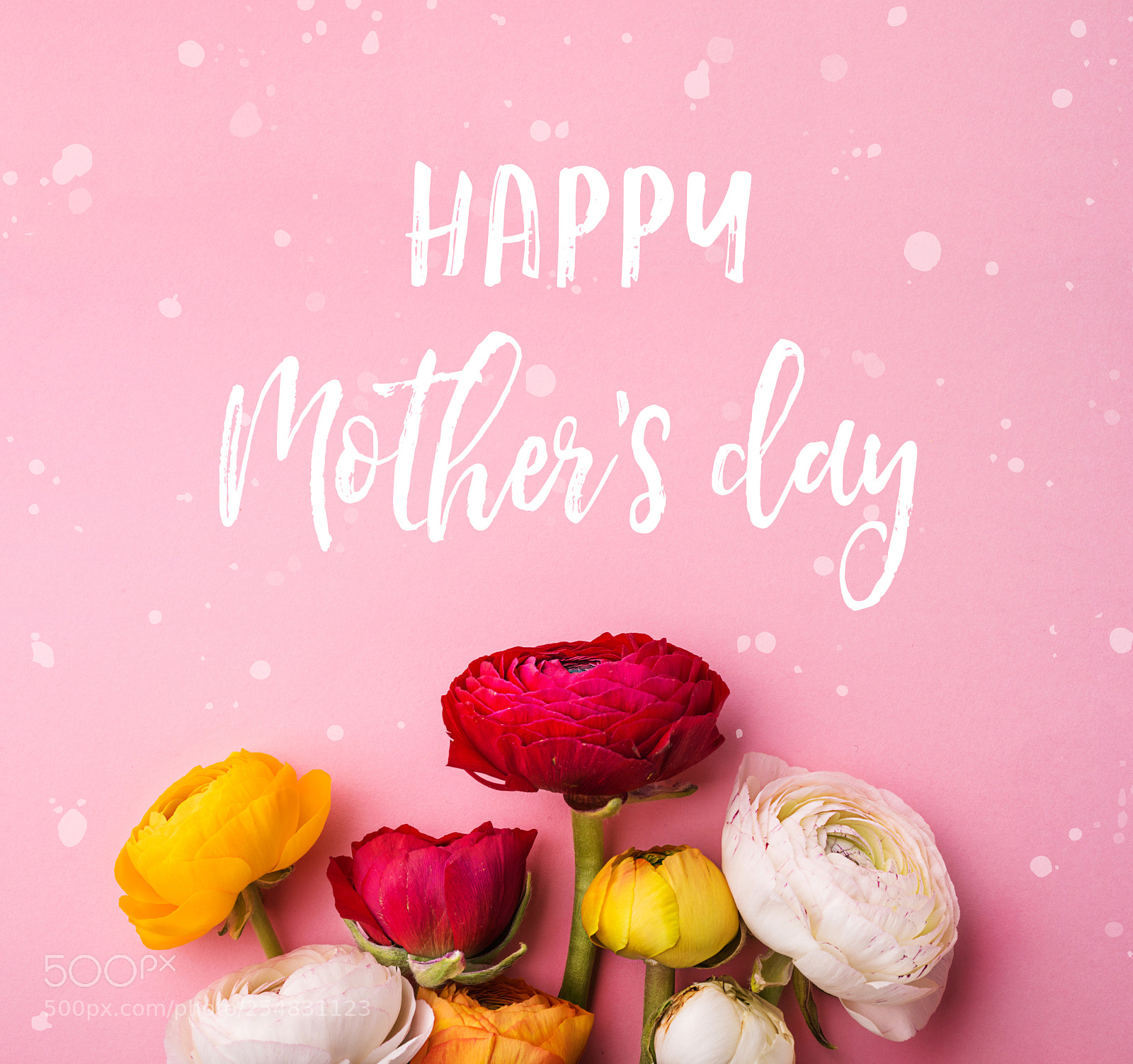 Nikon D800 sample photo. Mothers day composition.text and photography