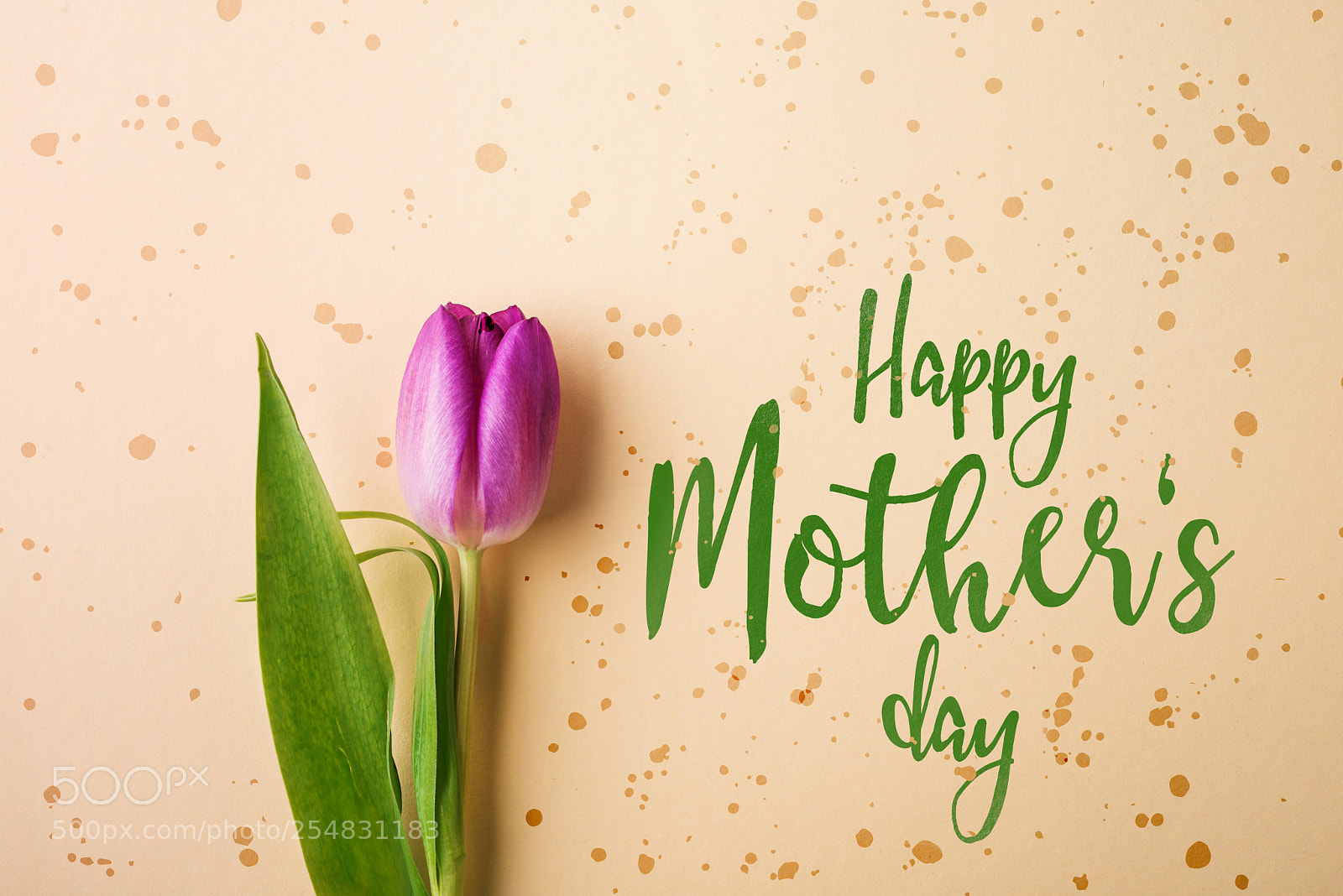 Nikon D800 sample photo. Happy mothers day sign photography