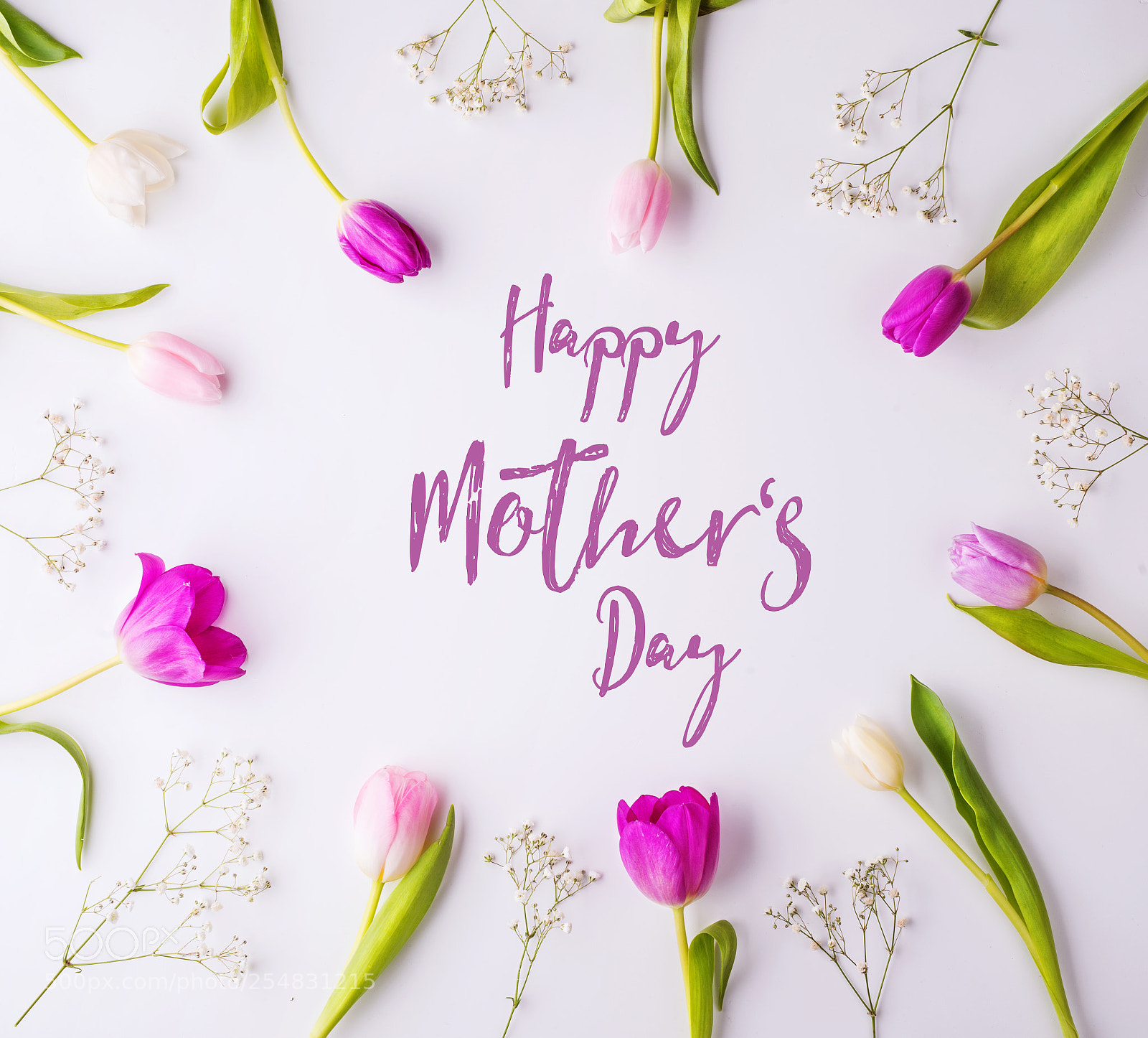 Nikon D800 sample photo. Happy mothers day composition photography
