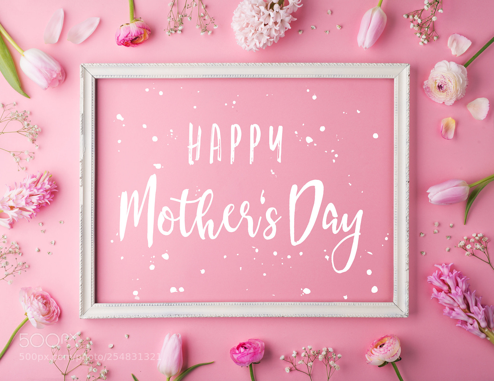 Nikon D800 sample photo. Mothers day composition.text and photography