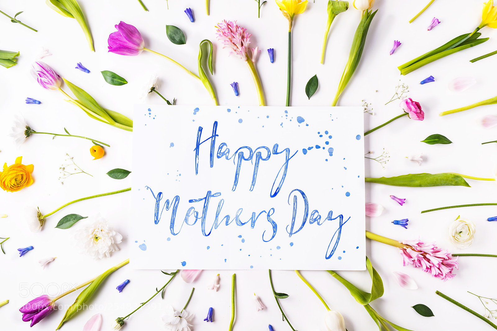 Nikon D800 sample photo. Mothers day composition. flowers photography
