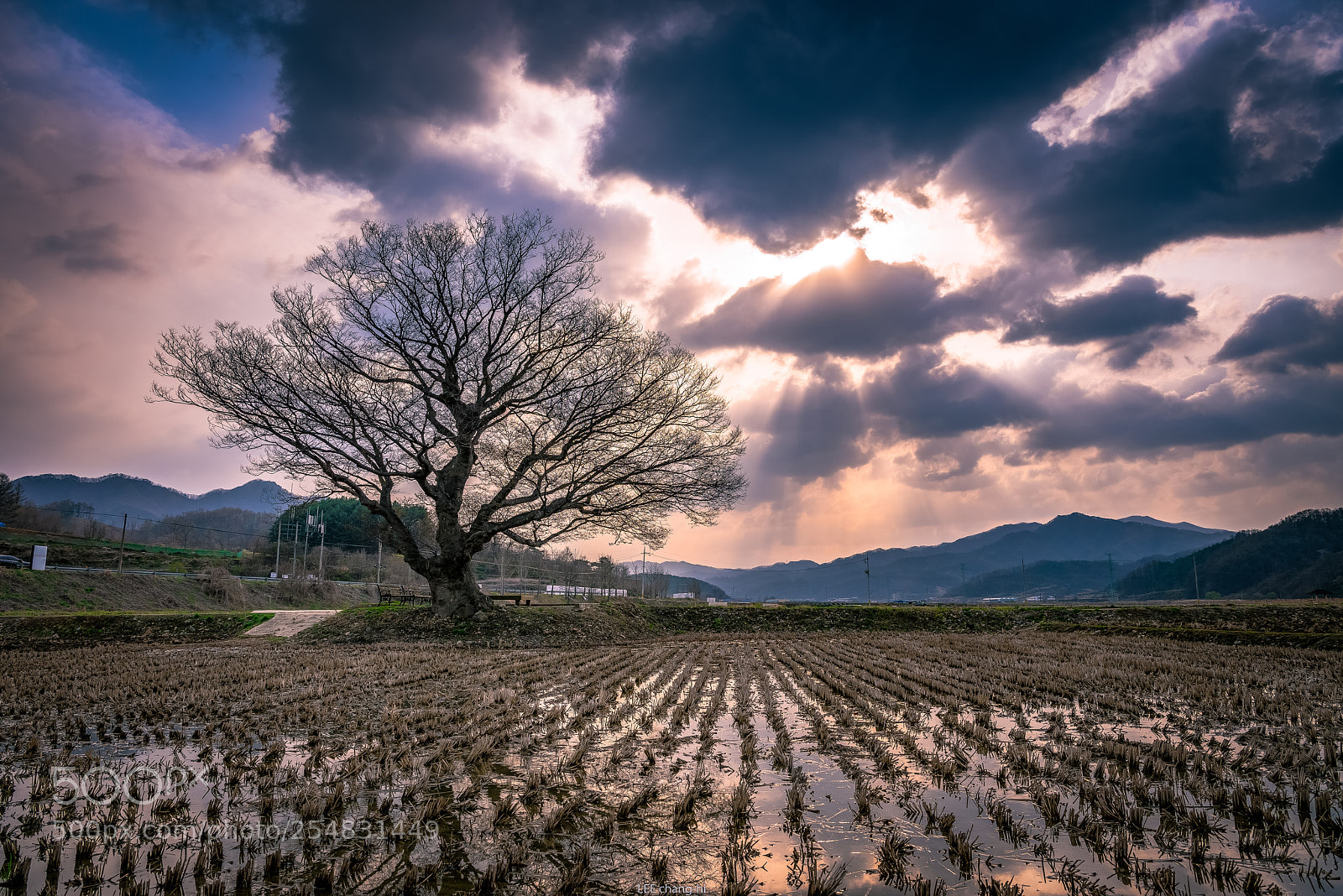 Nikon D810 sample photo. Alone... photography