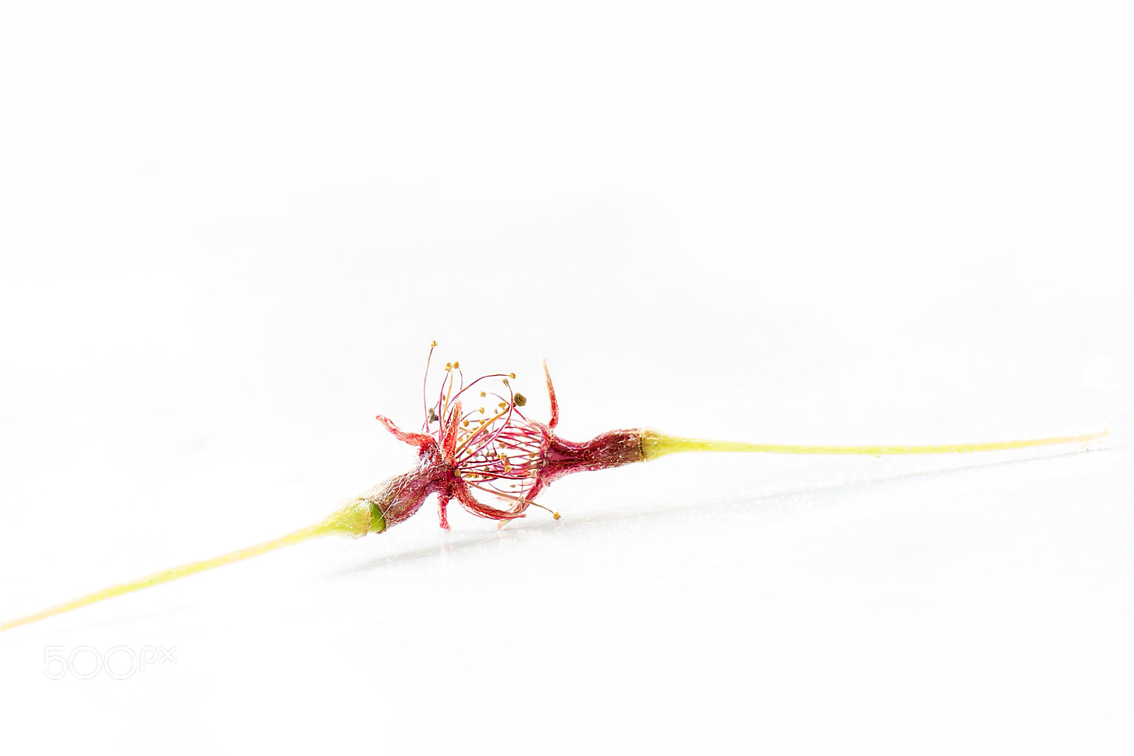 Canon EOS M sample photo. Just kiss photography