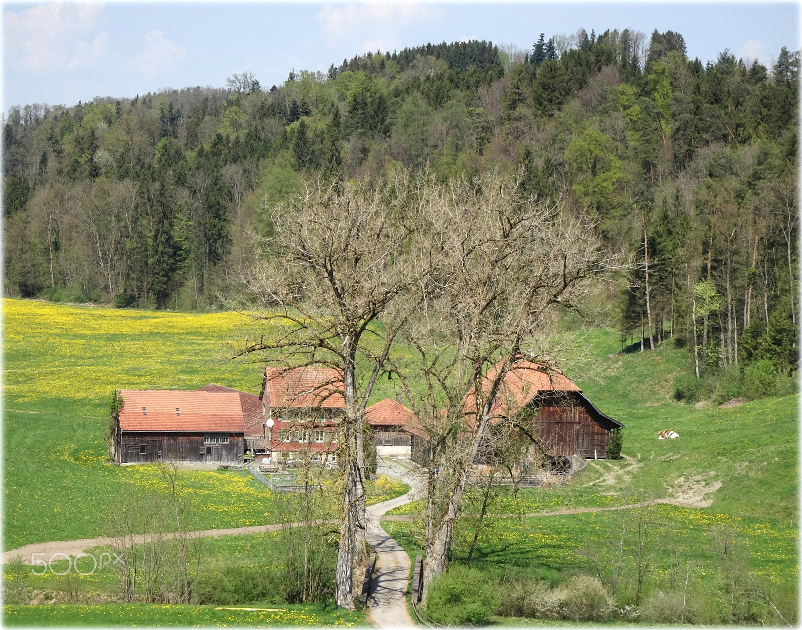 Sony Cyber-shot DSC-HX80 sample photo. "idyllic landscape" photography