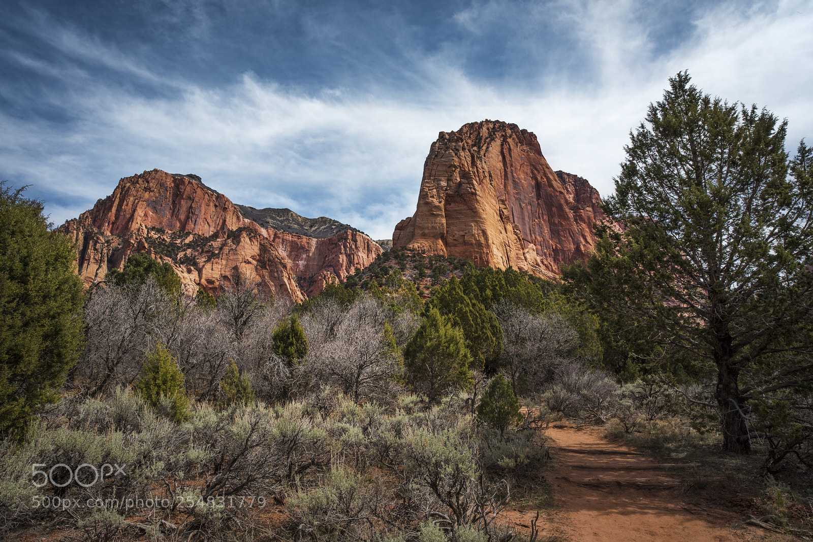 Nikon D810 sample photo. Kolob canyon photography