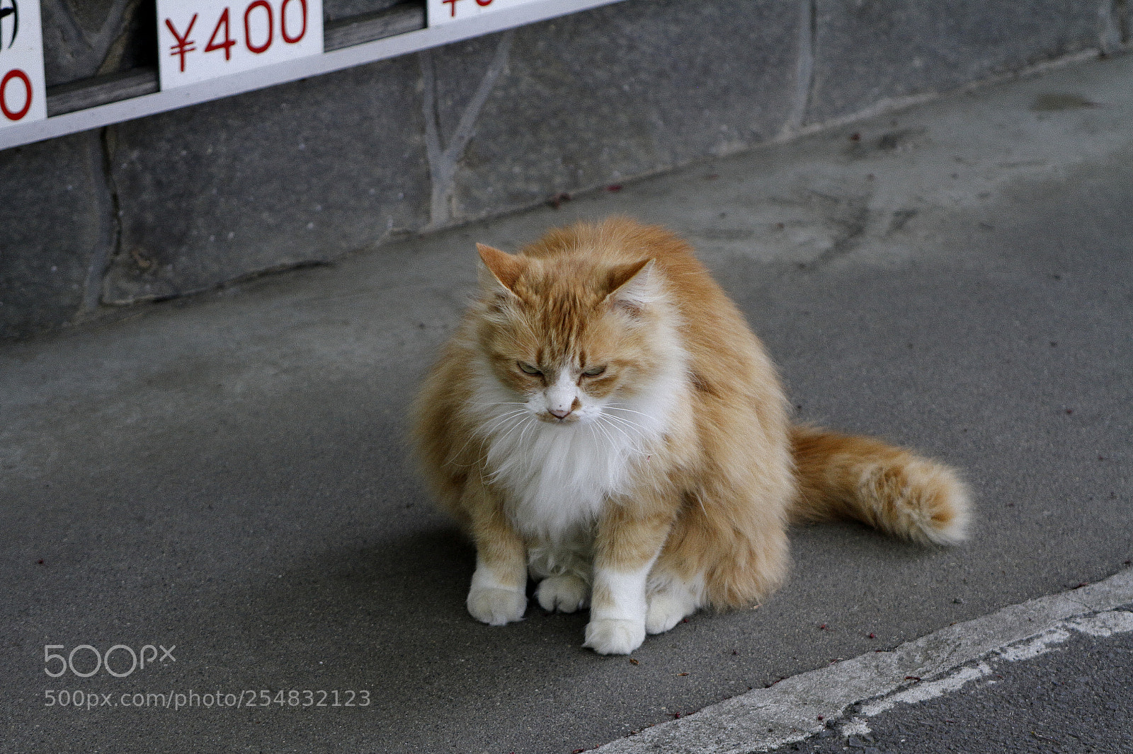 Canon EOS 7D sample photo. Line of sight photography