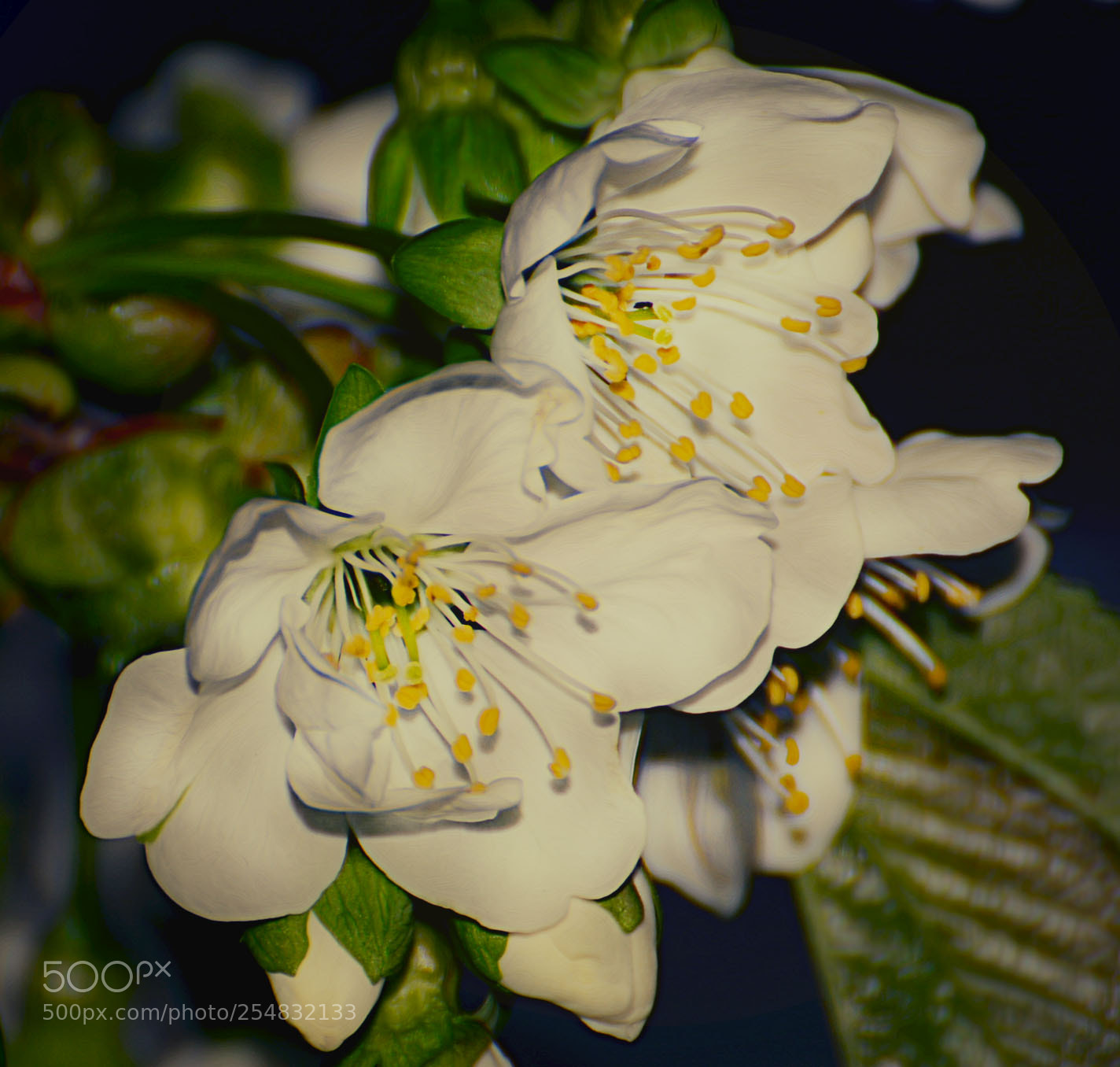 Nikon D7100 sample photo. Untitled photography