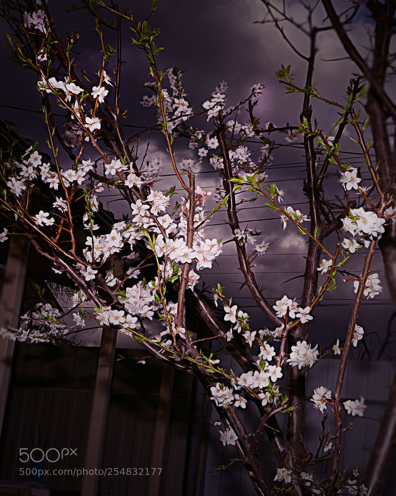 Nikon D7100 sample photo. Untitled photography